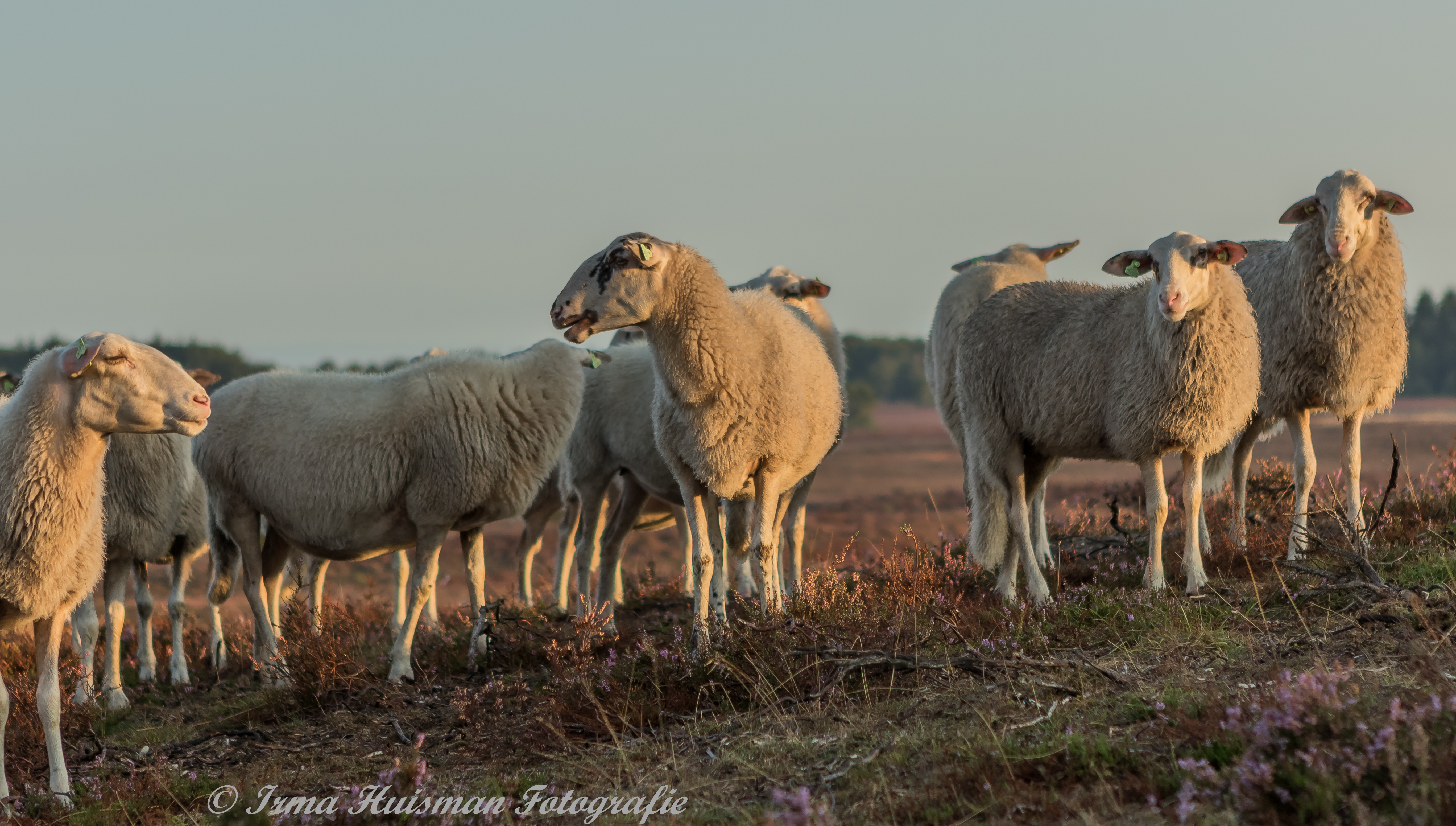 landschap-fotografie
