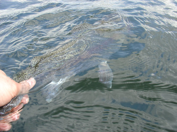 daar-gaat-ze-hengelsport