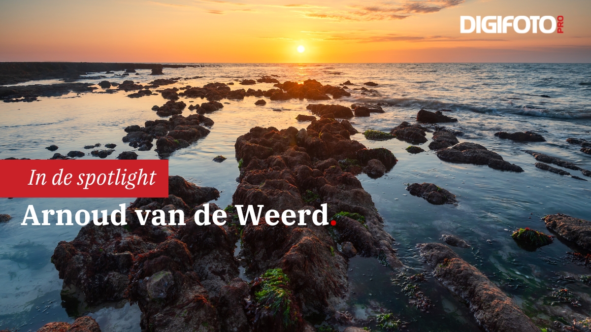 spotlight-van-de-week-31-digifoto-pro-gallery-0