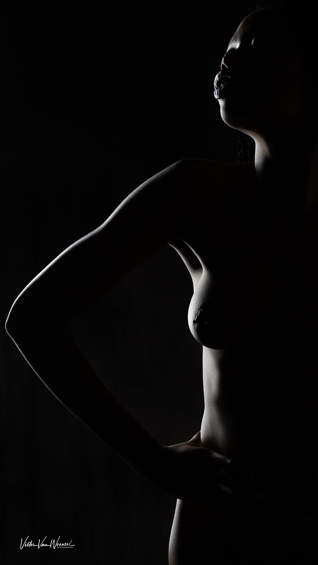 silhoutte-of-grace