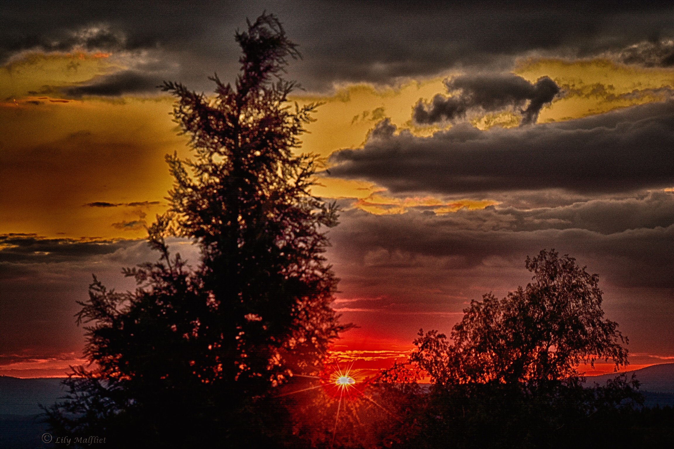 avond-in-steinwald-d