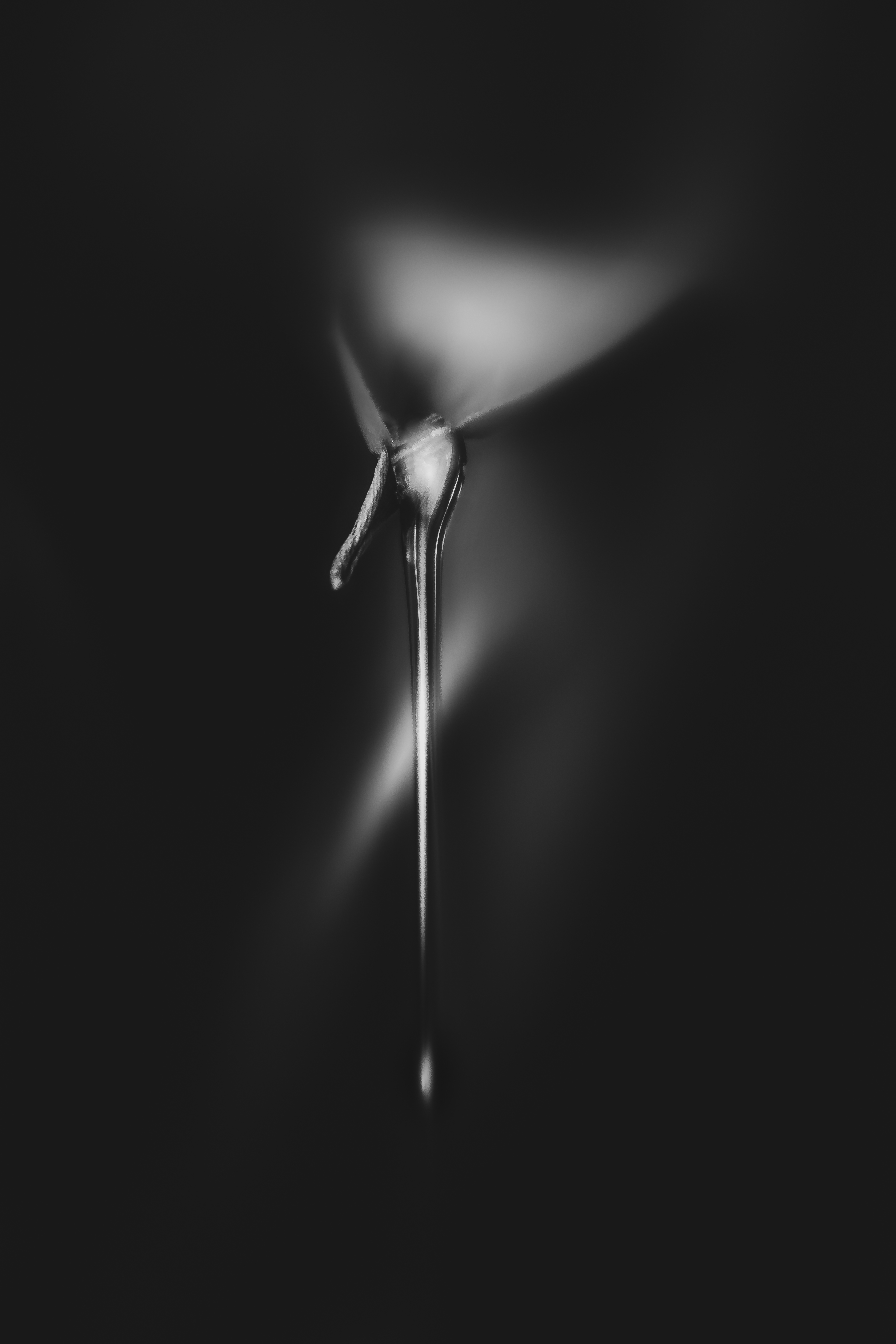 tear-of-silence