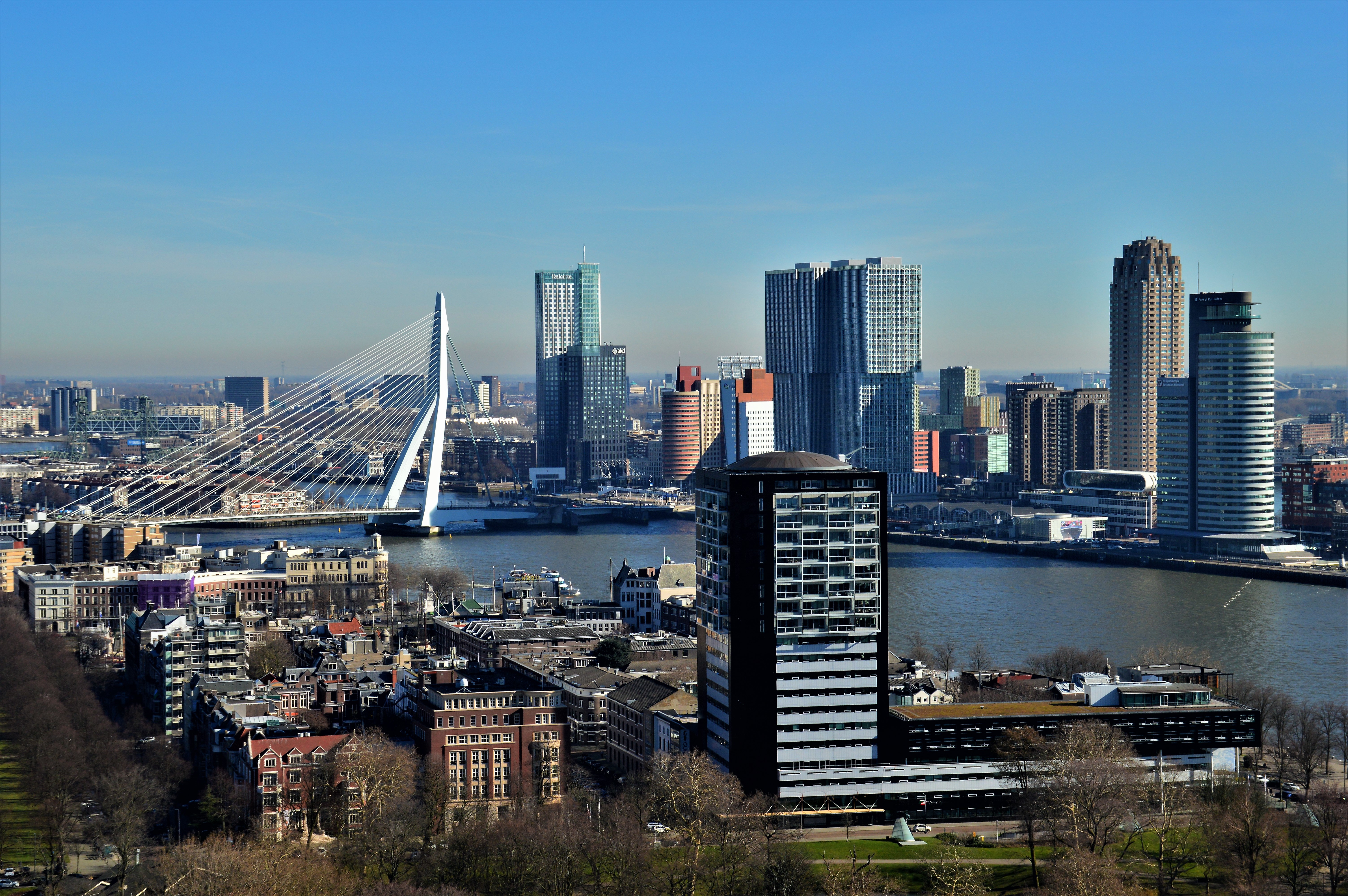 rotterdam-skyline-2