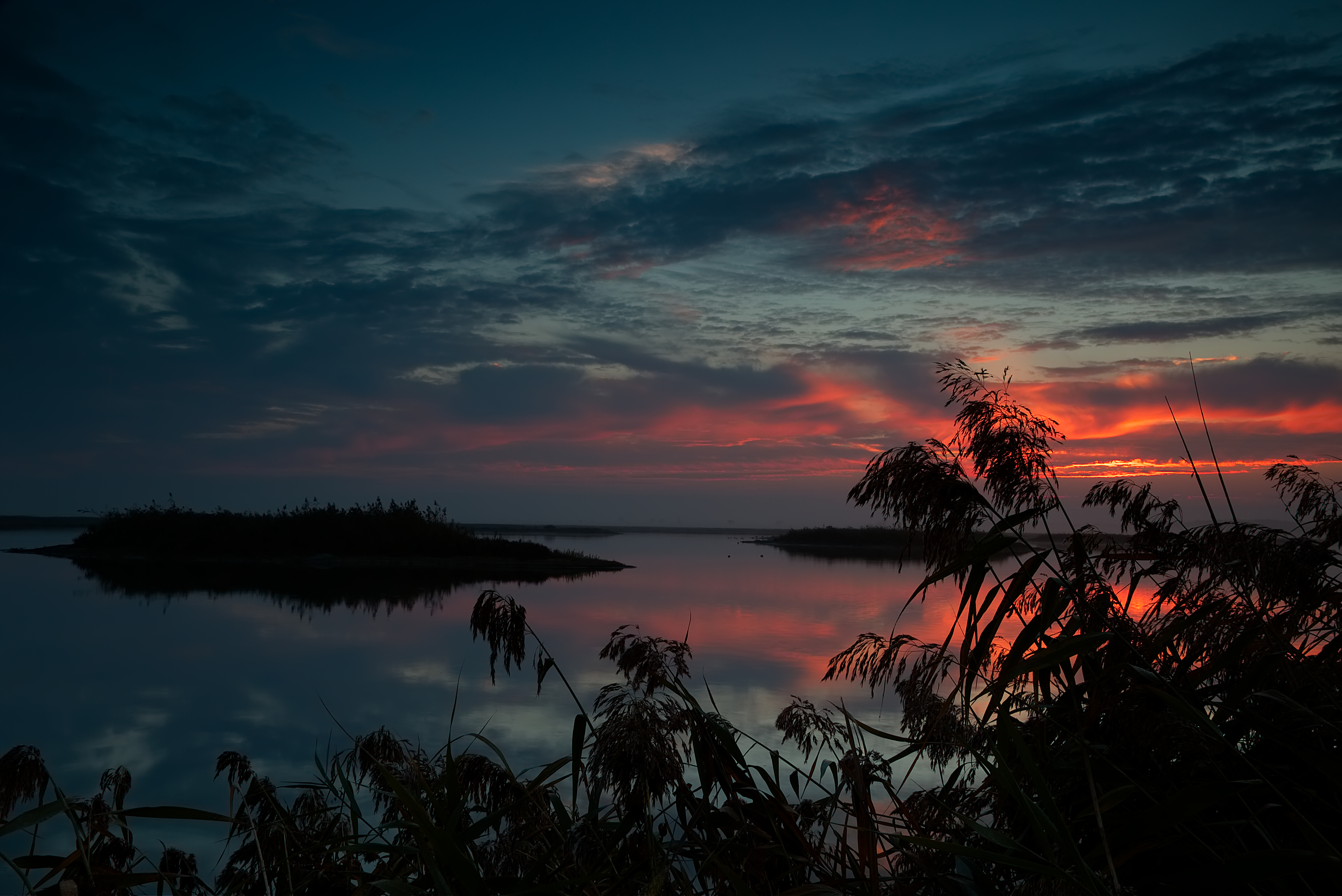 ochtendglory-over-oostvaardersplassen