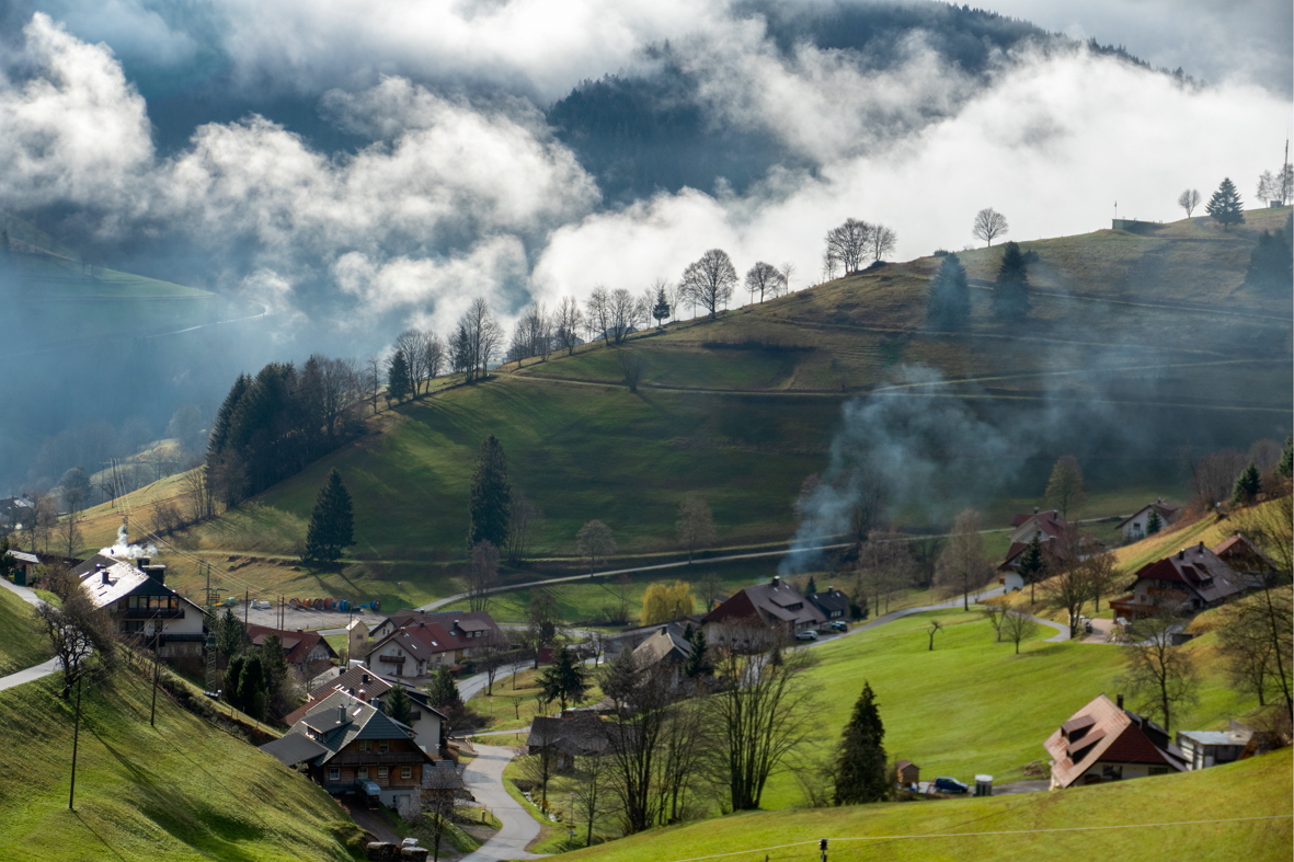 early-morning-at-the-black-forest