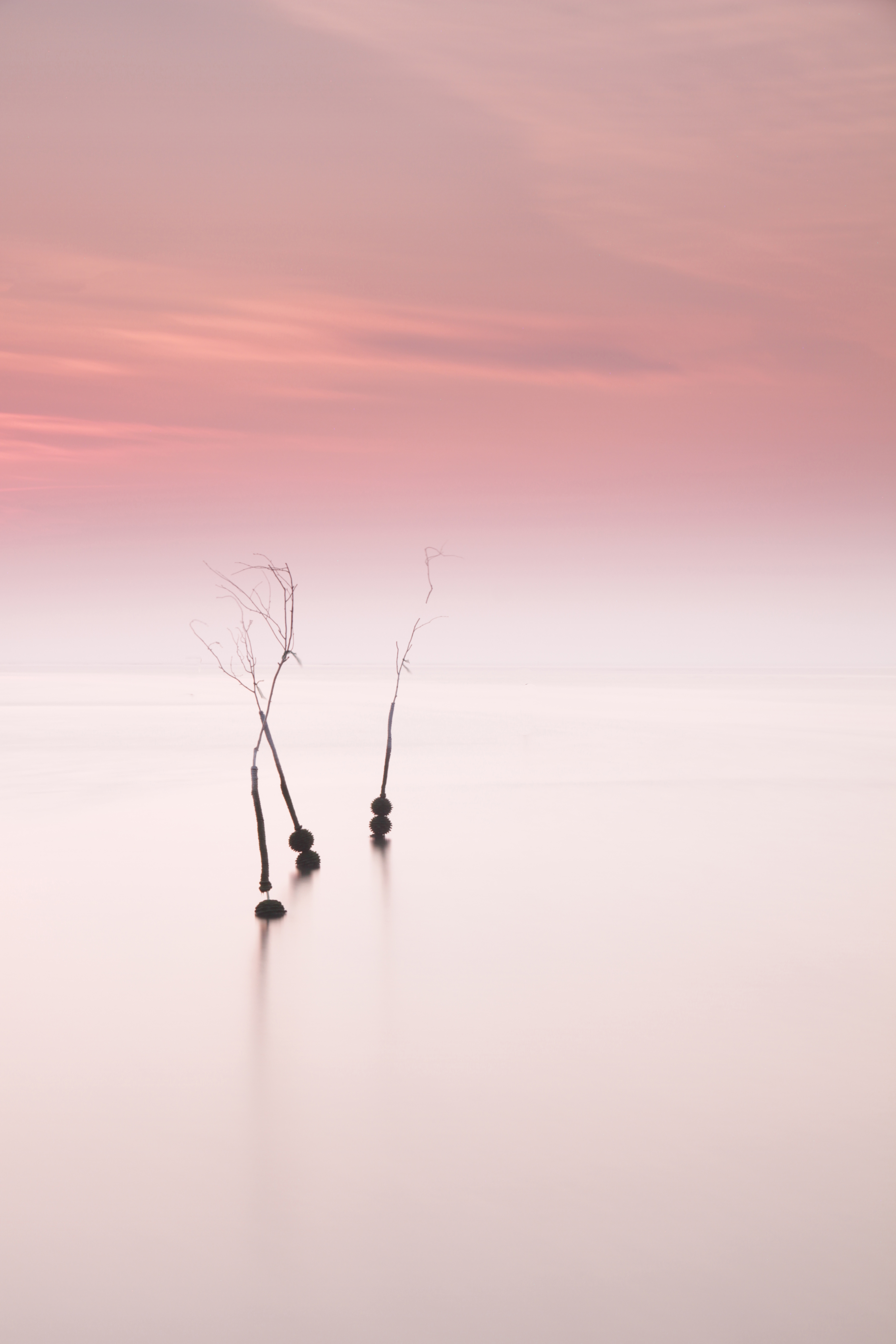 ochtendstilte-op-het-wad