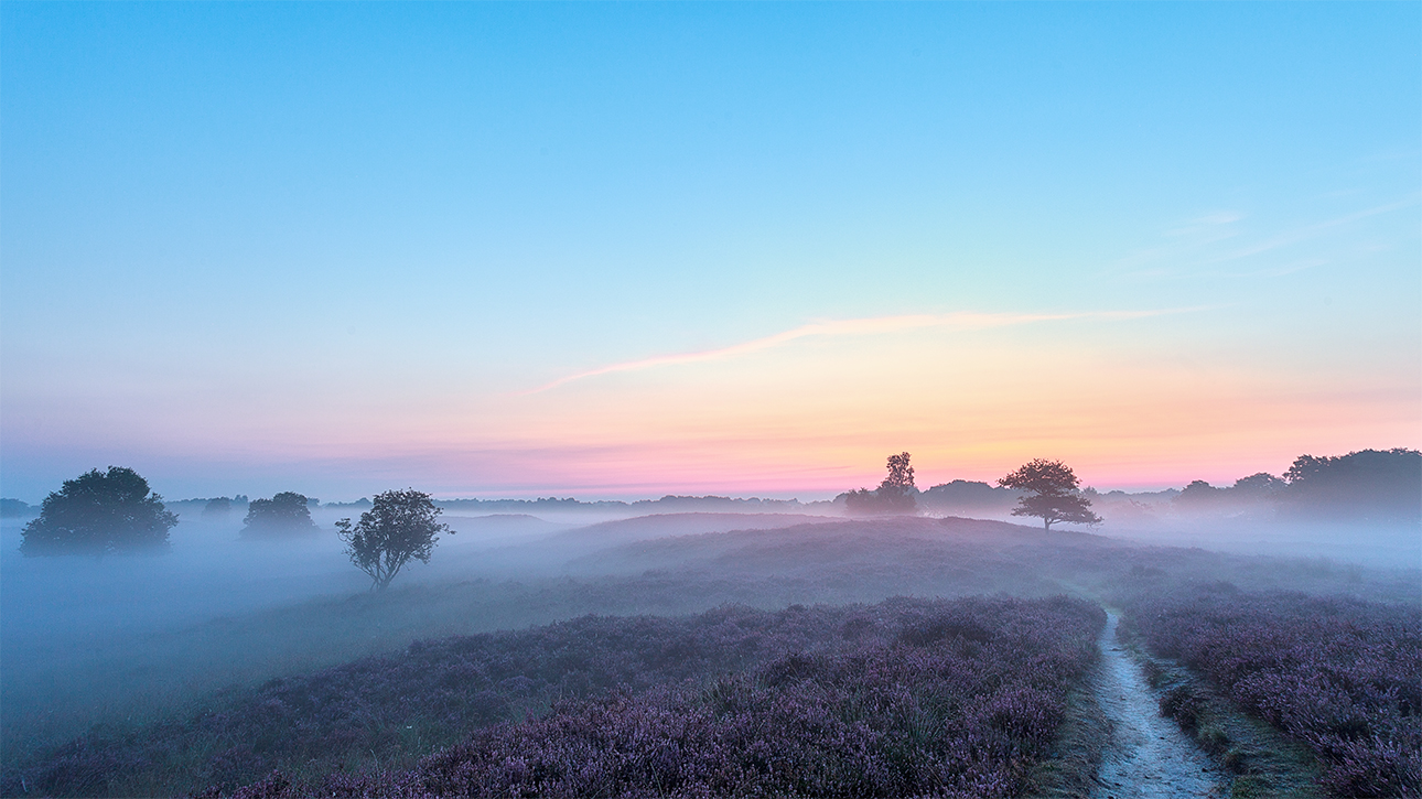 voor-zonsopkomst-gasterse-duinen