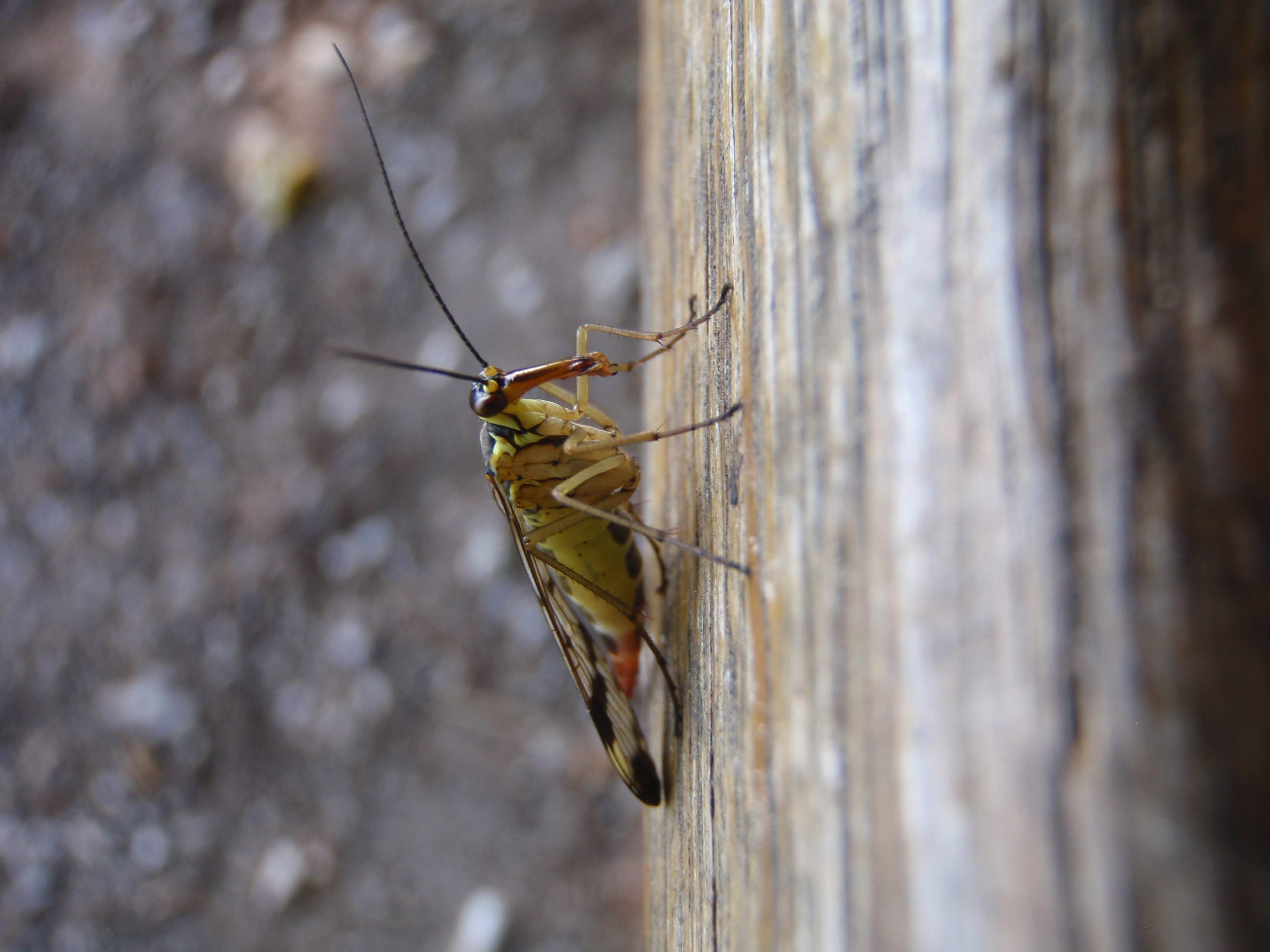uitblazen-op-een-bankje