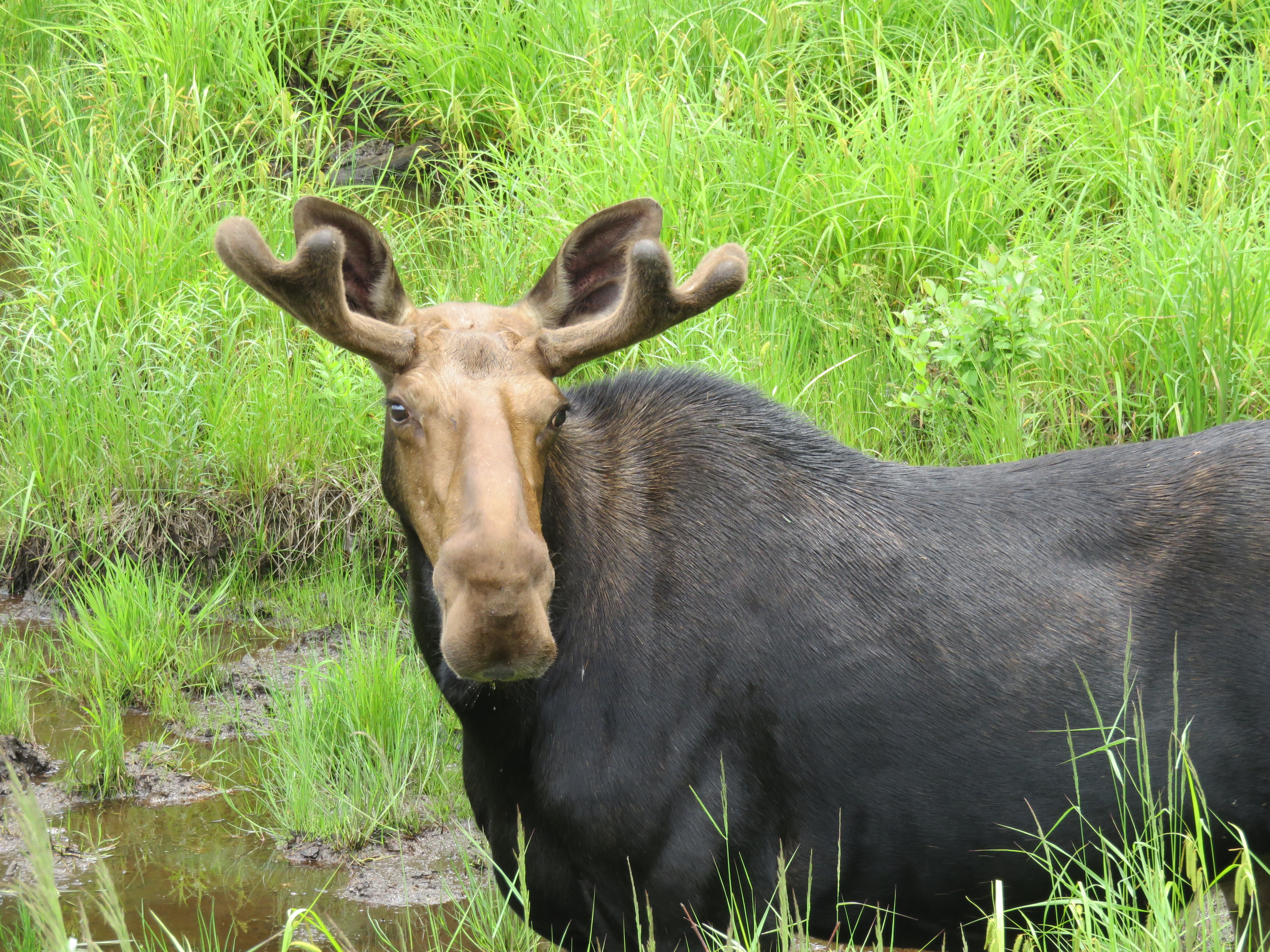 heb-ik-iets-van-je-aan