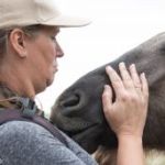 vele-tulpen-nu-te-vinden