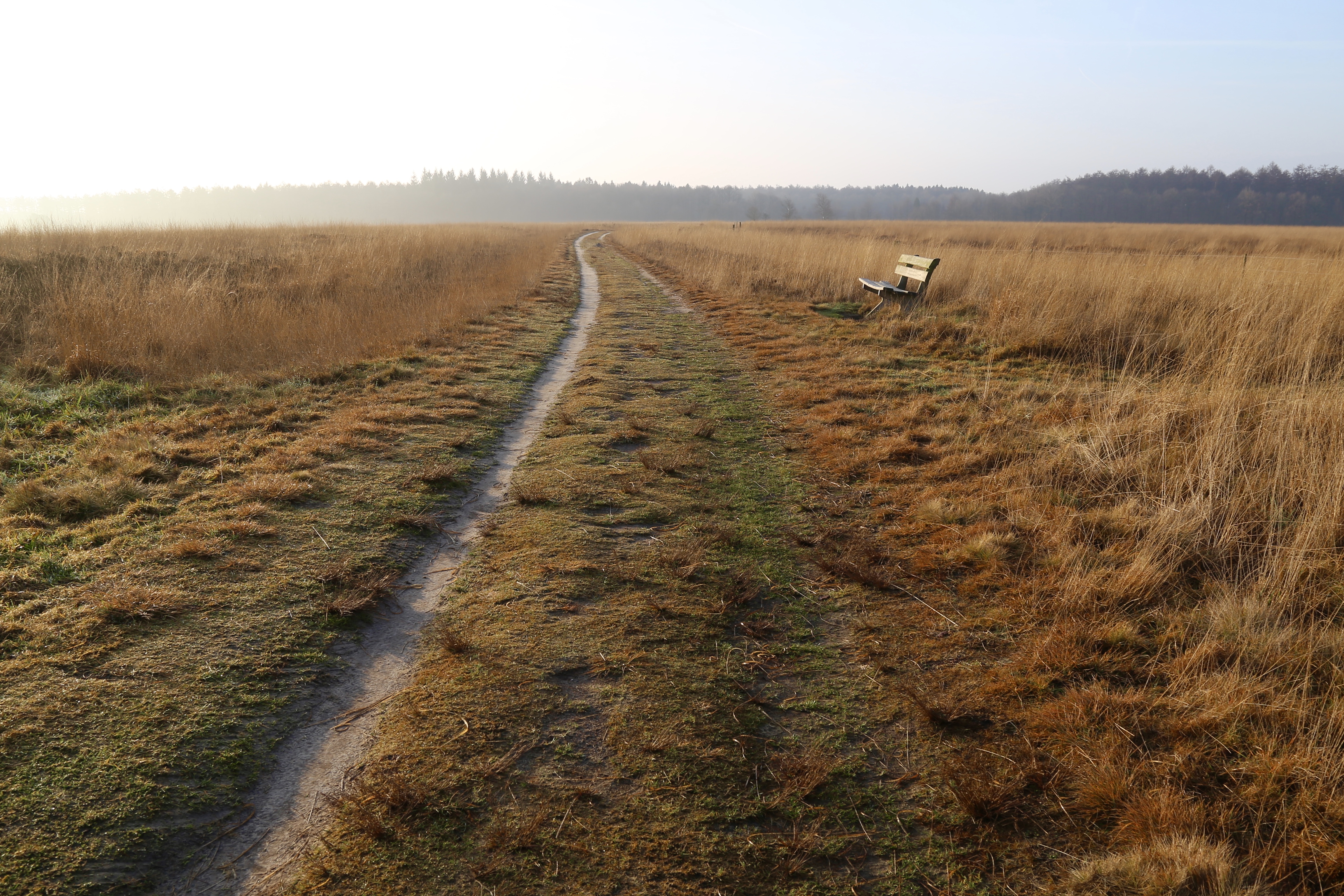 duurwoudsterheide