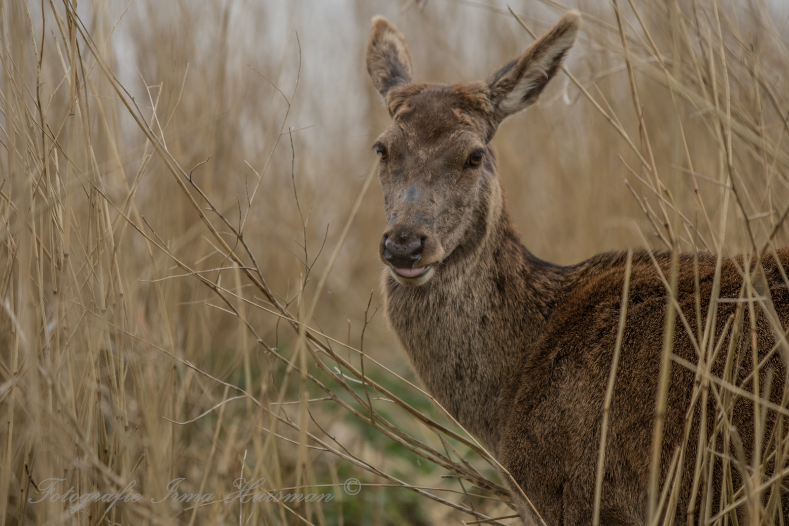 zo-sta-ik-op-de-foto