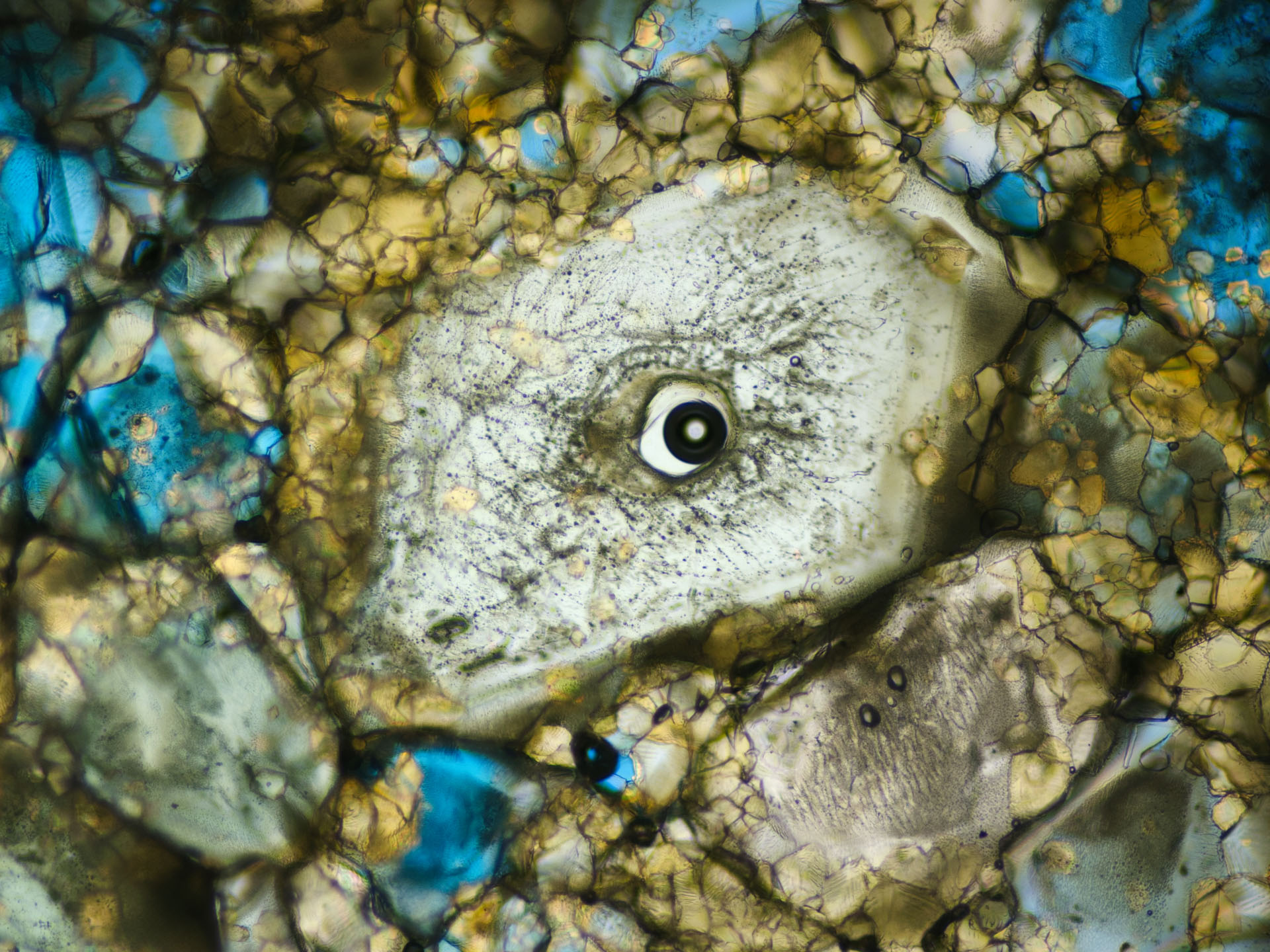 de-kristallentuin-machiel-zwarts