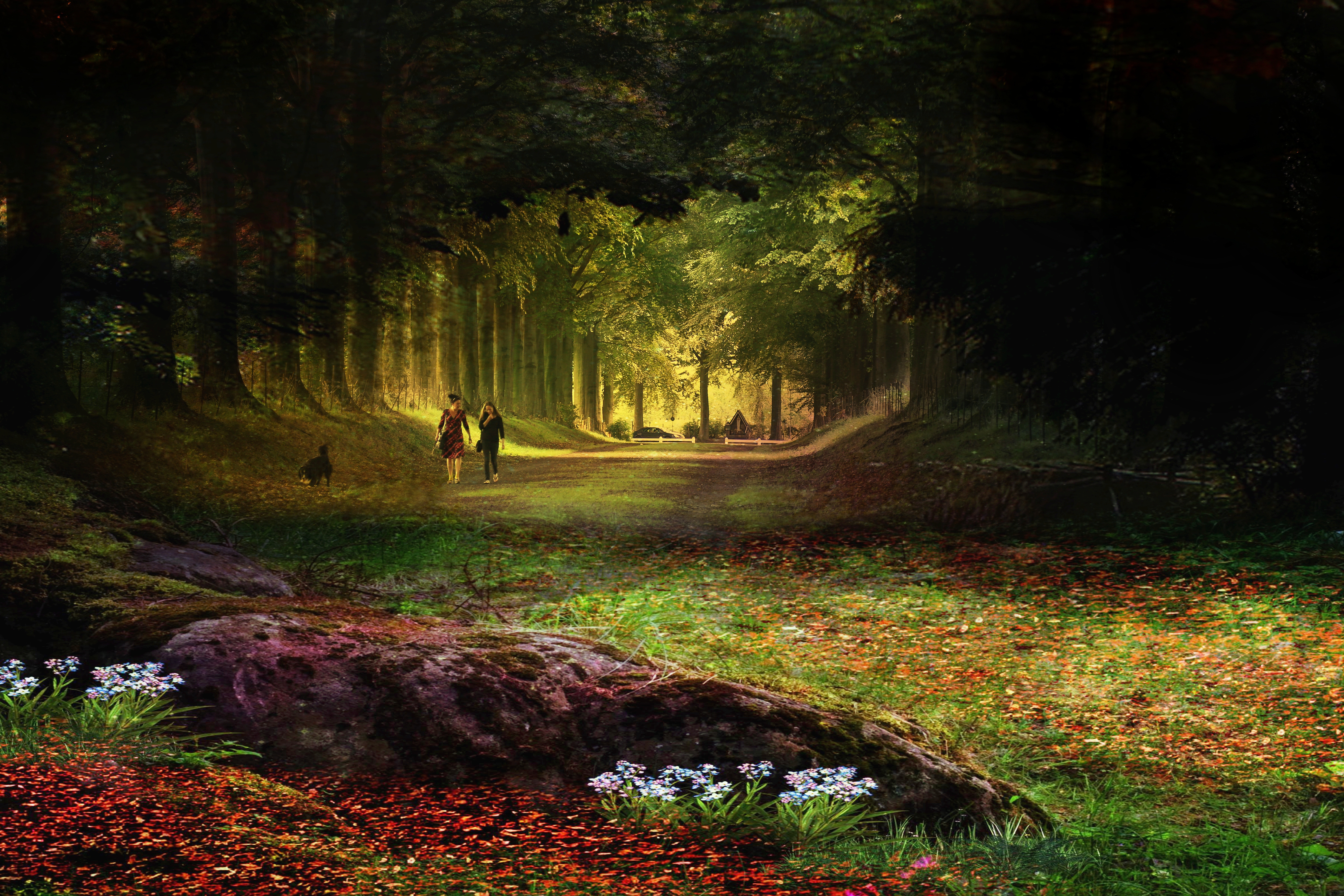 wandelpad-im-eijsden