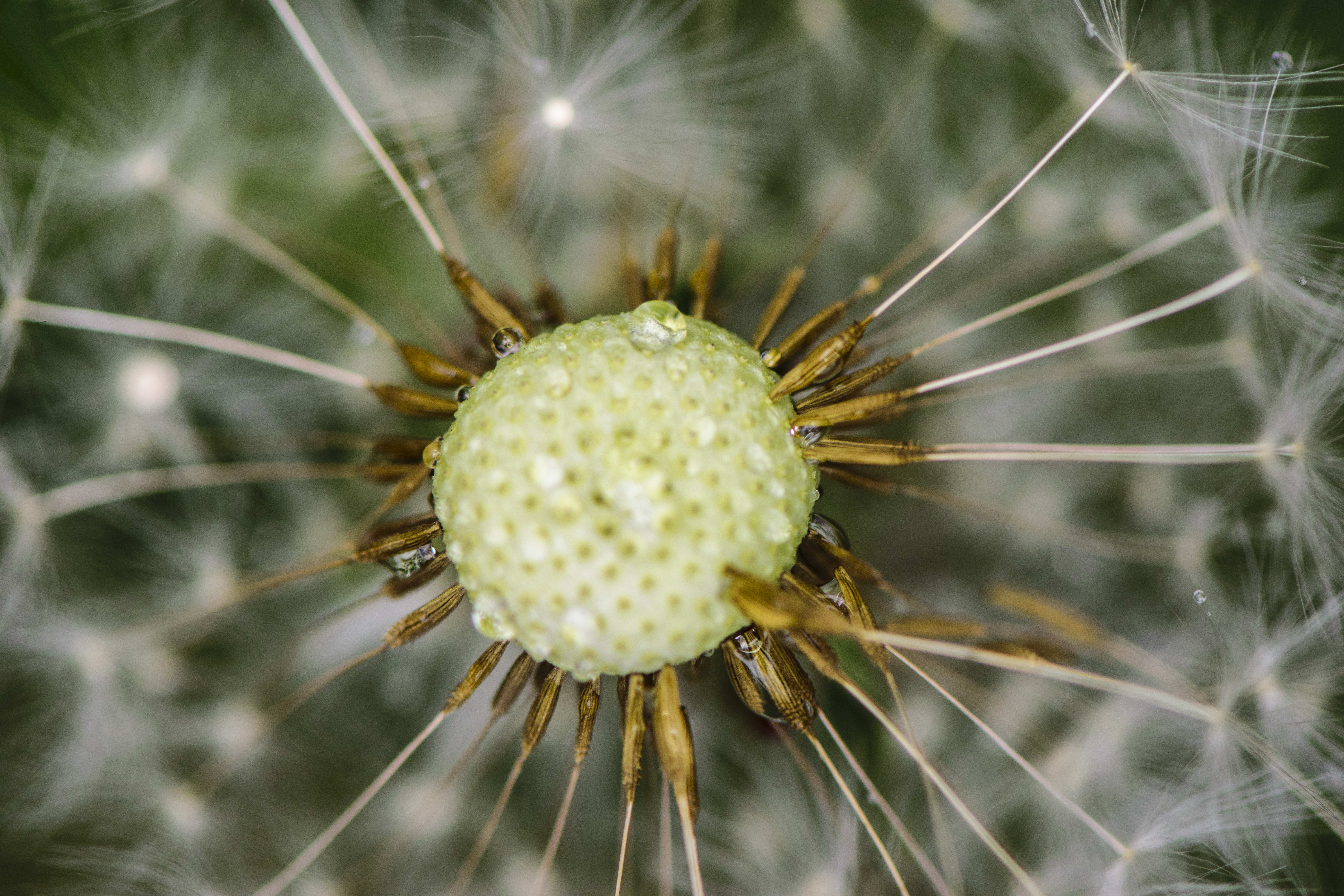 blowing-with-the-wind-and-water