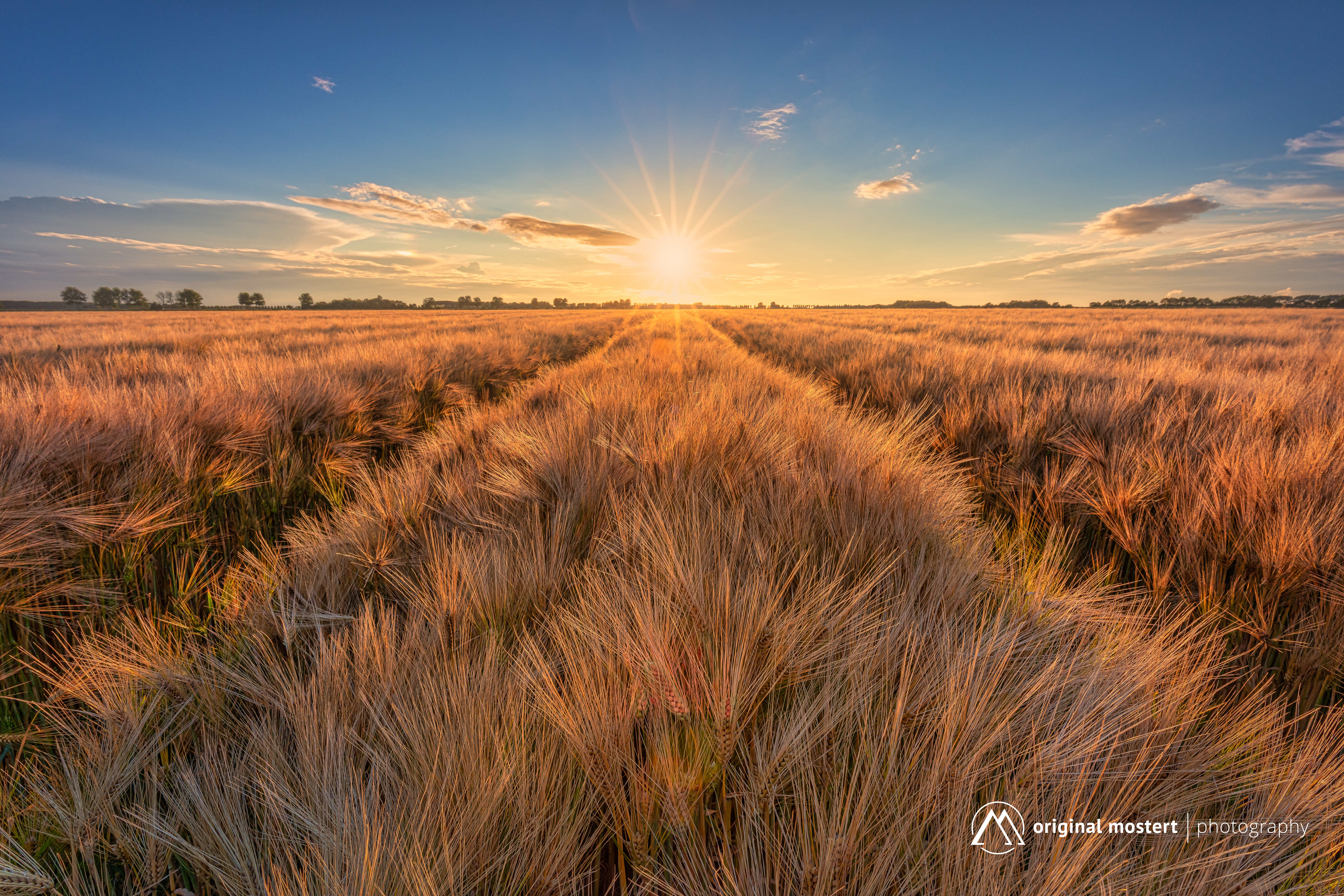 minimalisme-in-landschapsfotografie-polders-en-vlakke-landschappen