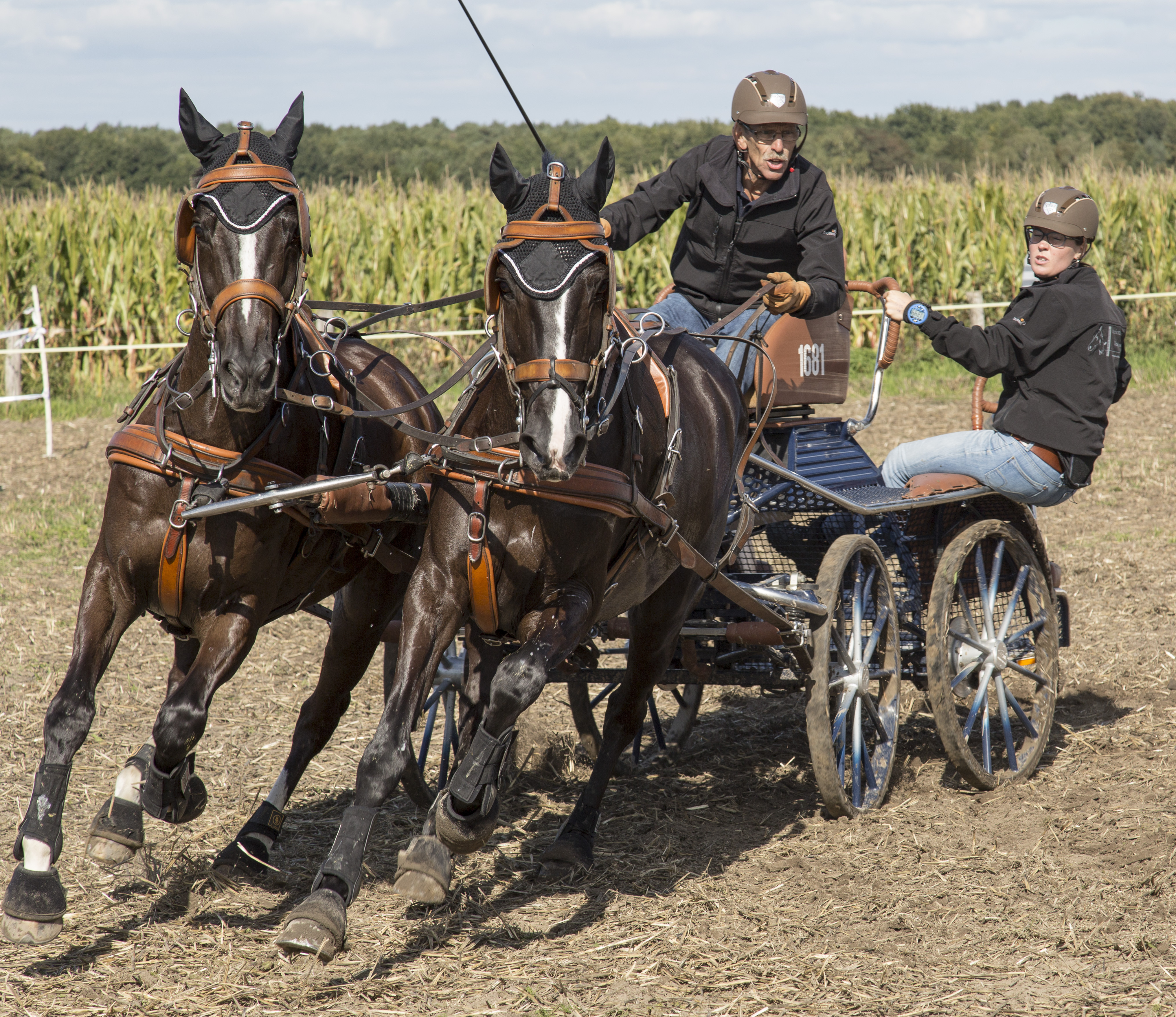 paardensport-in-schinveld