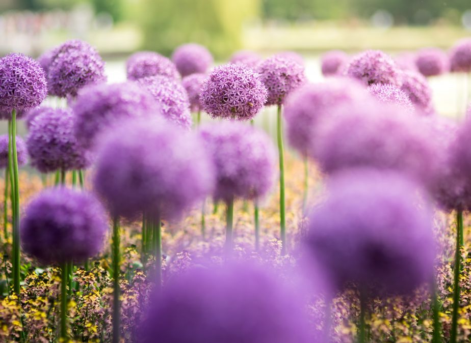 testen-en-bijstellen-autofocus