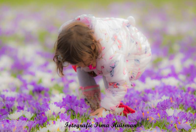 heerlijk-weertje-en-dan-tussen-de-mooie-kleuren