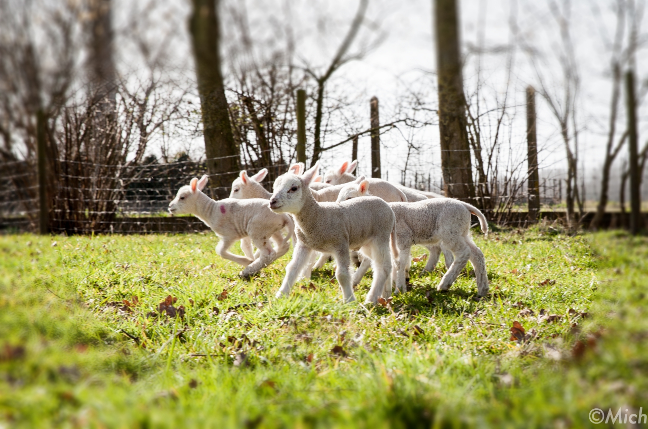 jaaa-daar-zijn-ze-weer