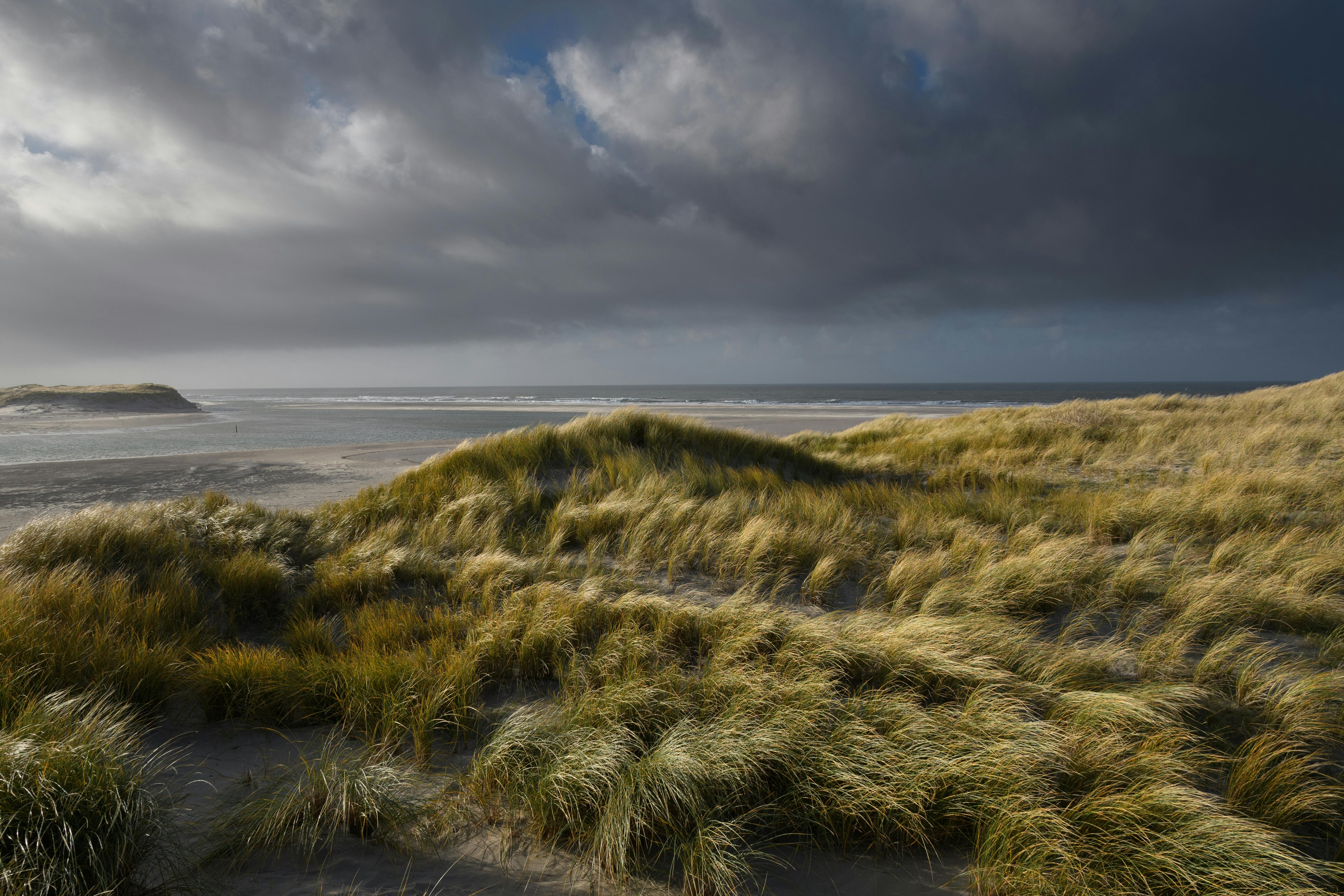 tip-fotografie-in-de-kop-van-noord-holland