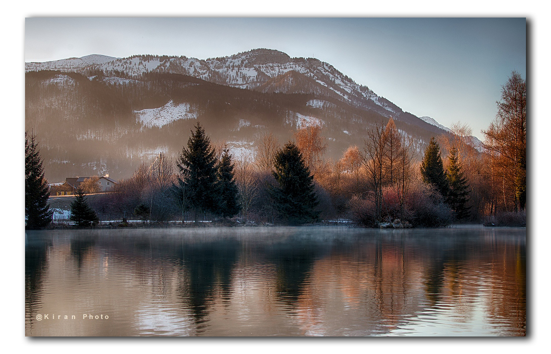 zonlicht-op-de-bomen