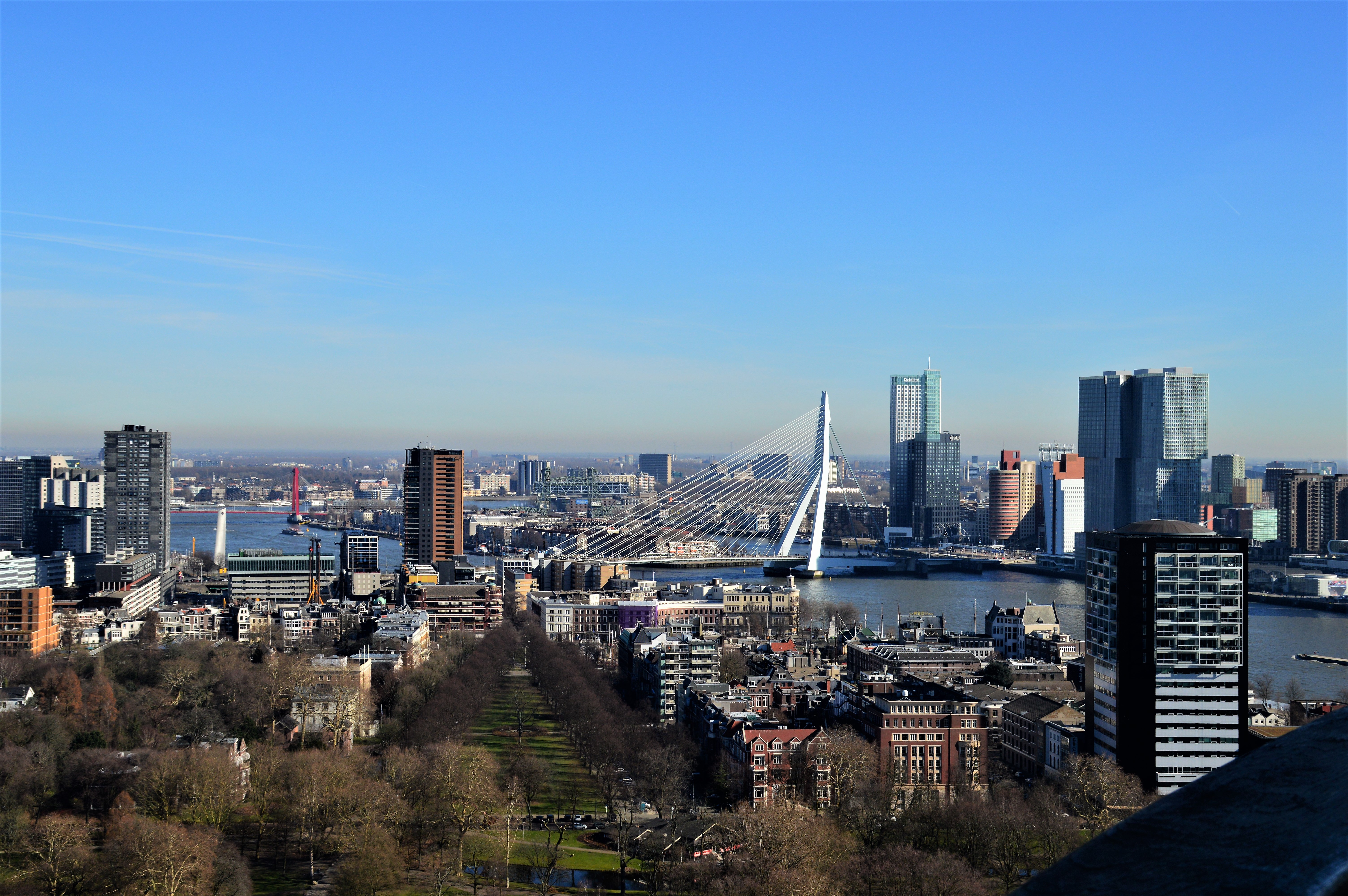 mooie-stad-rotterdam