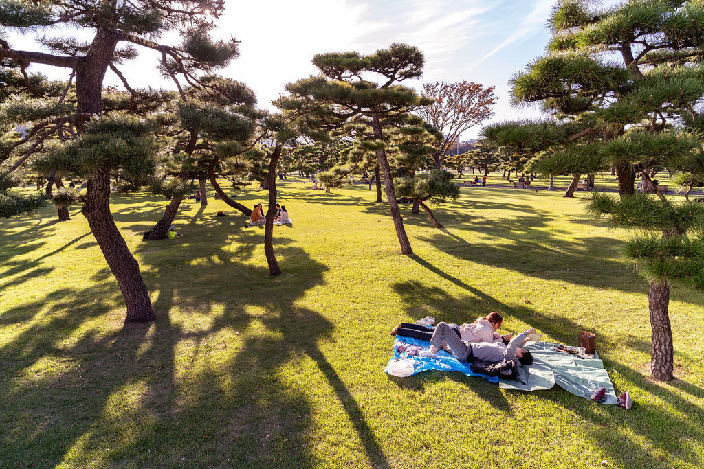 de-betovering-van-het-dagelijks-leven-in-tokyo-gevangen-door-fotograaf-richard-koek