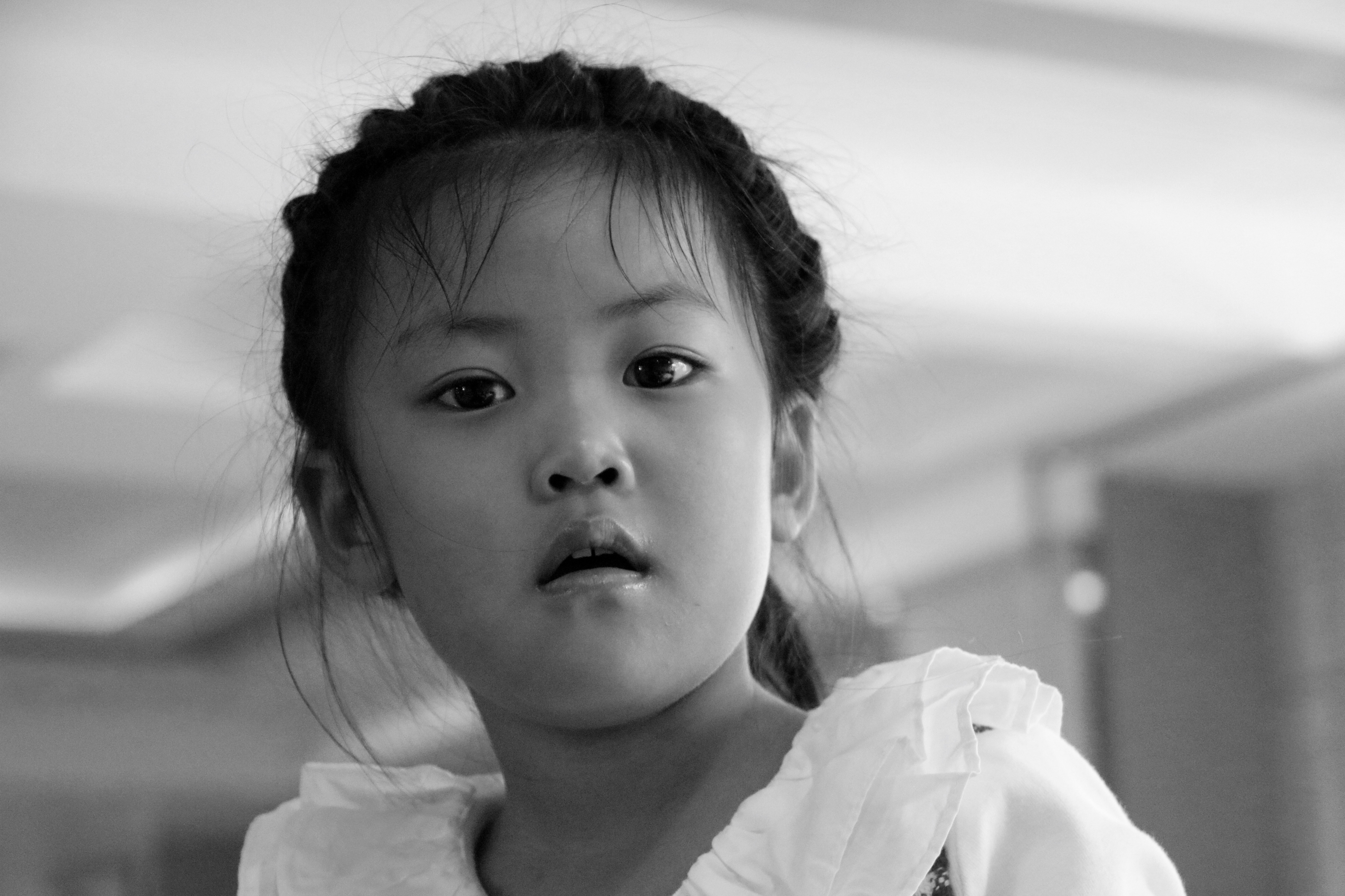 de-mona-lisa-uit-china