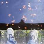 zonsondergang-leiden