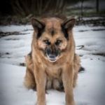 golden-hour-golden-girl