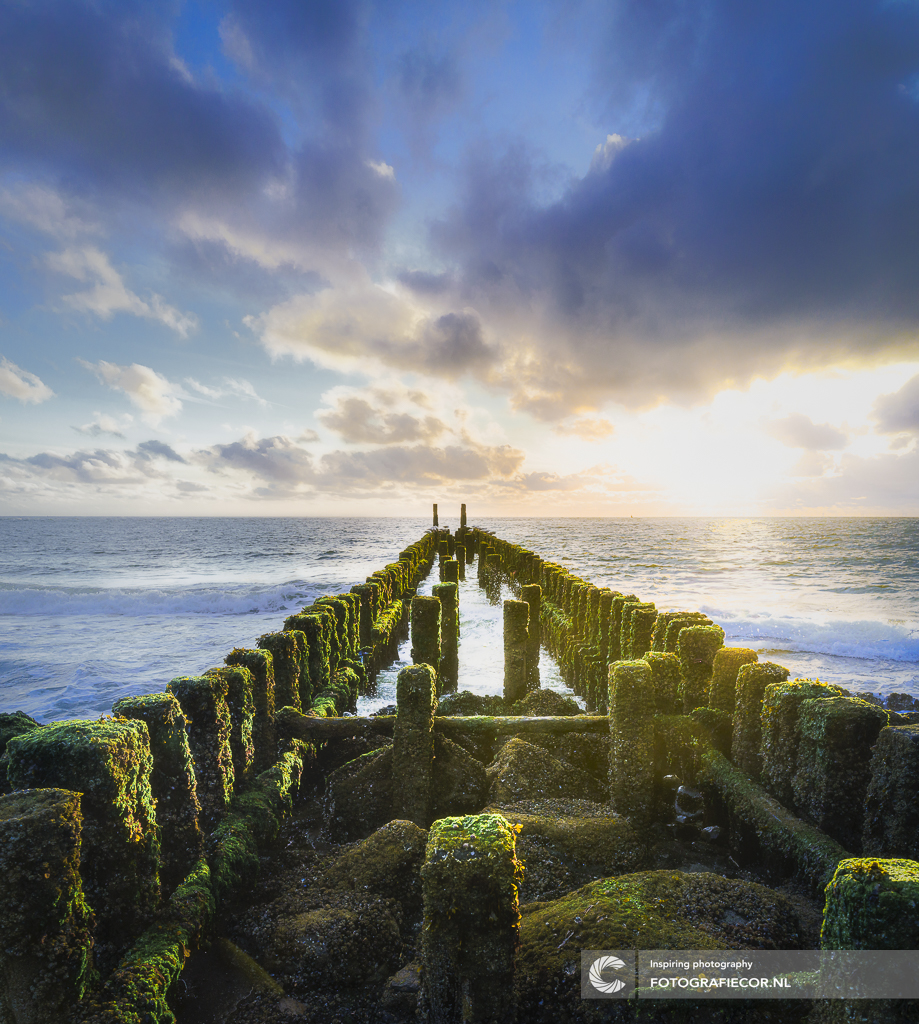 de-gouden-uur-zonsopkomst-boven-met-groene-algen-begroeide