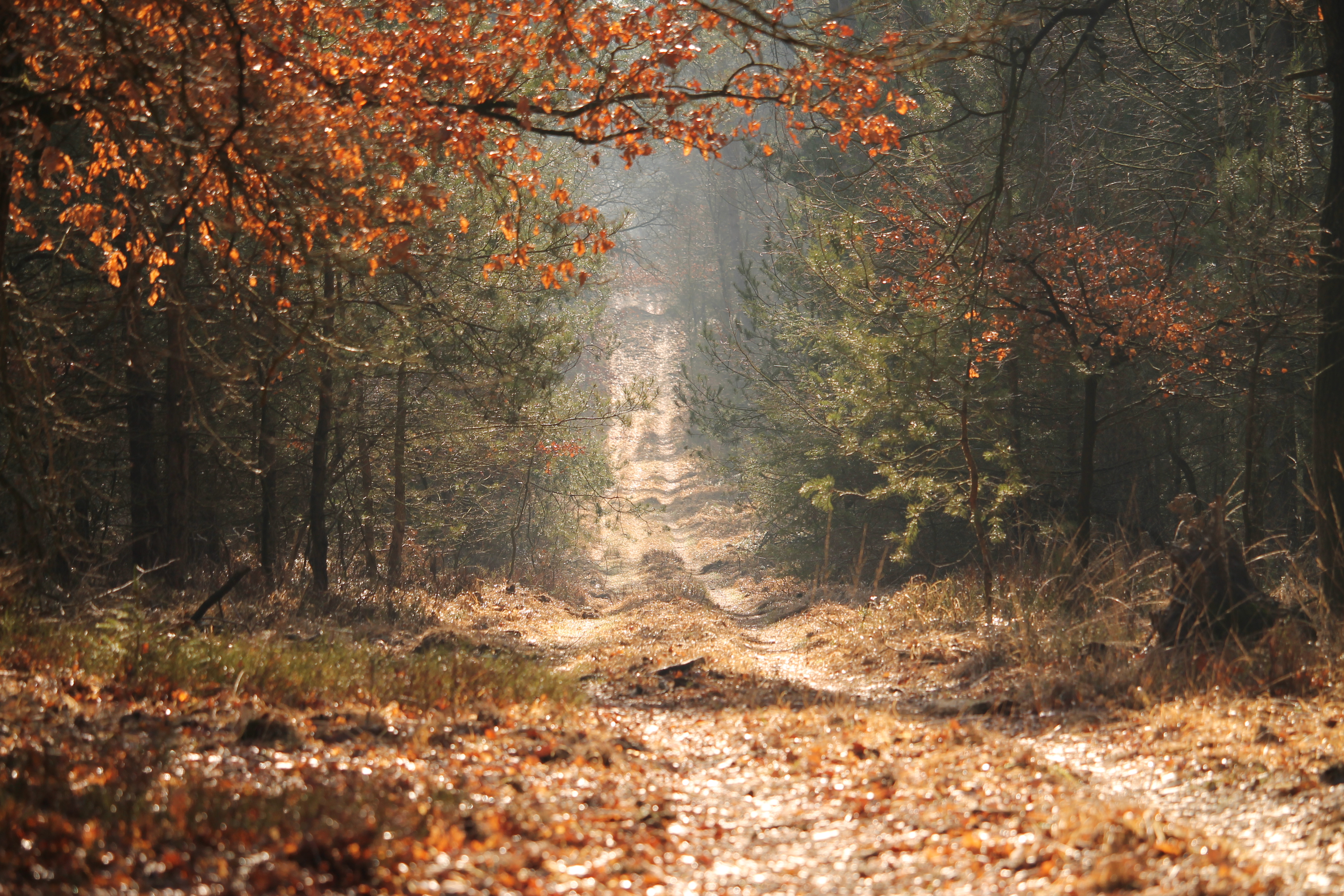 landschapsfotografie-5