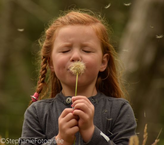fotowedstrijd-portret