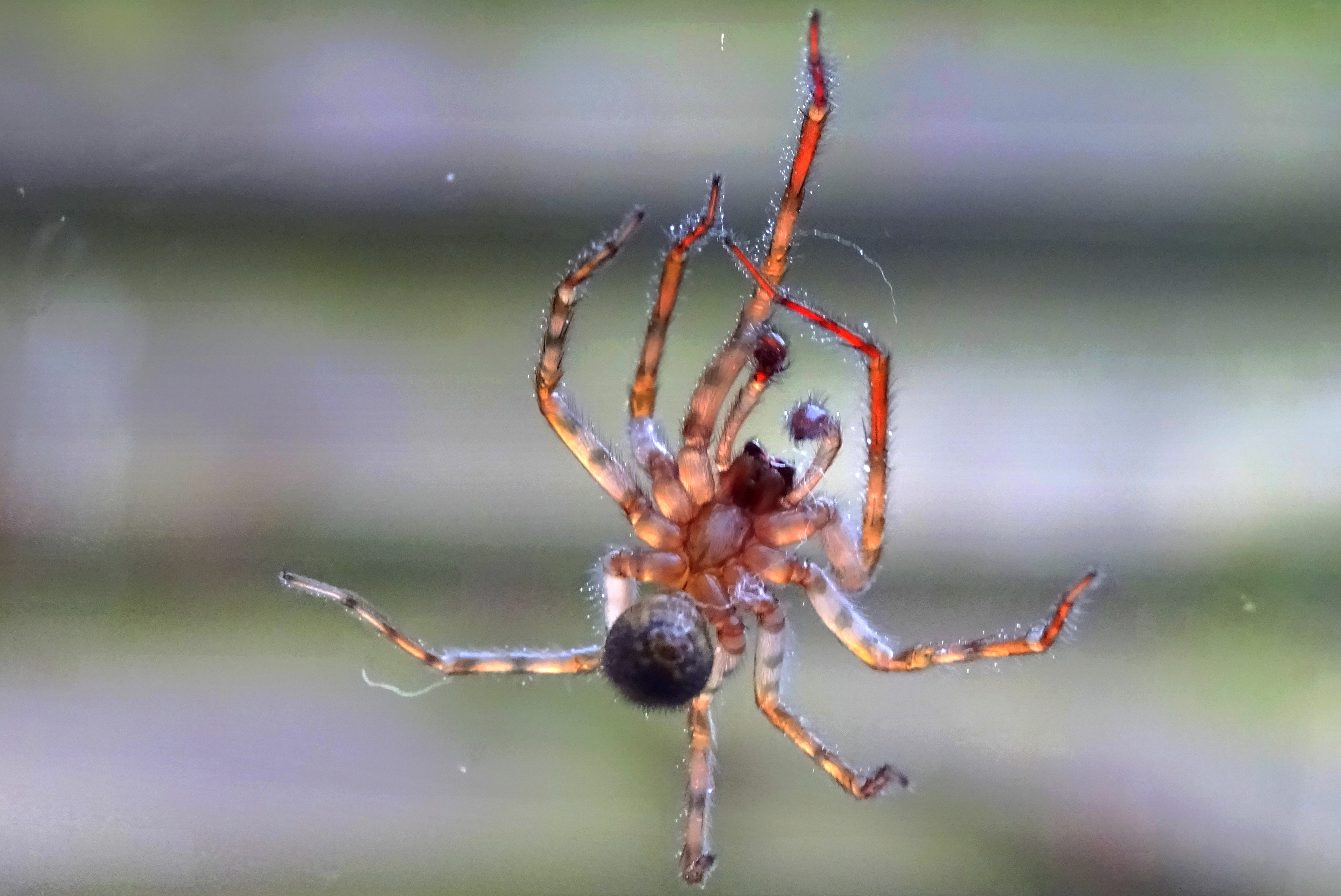 aan-een-zijden-draadje