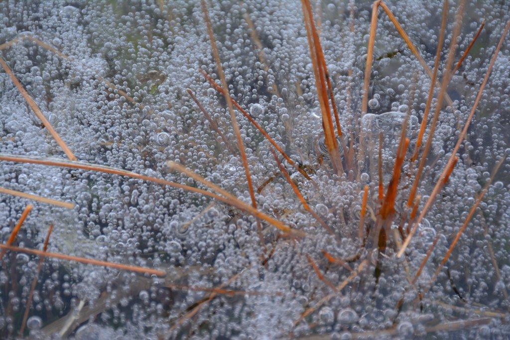 bubbels-in-het-ijs