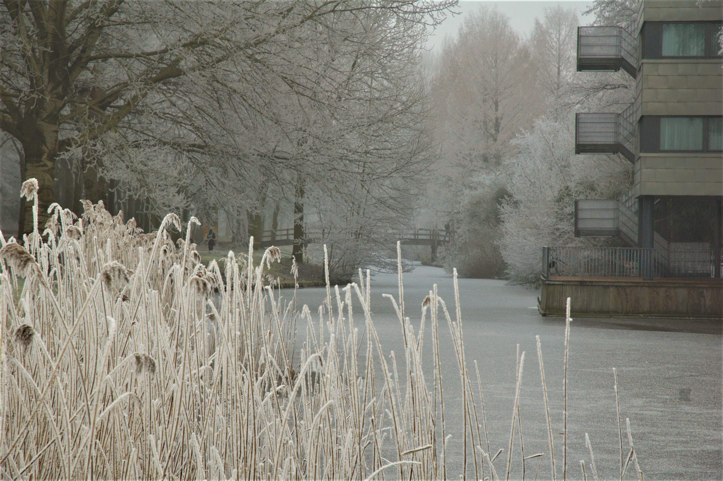 een-ijzige-ochtend-in-januari
