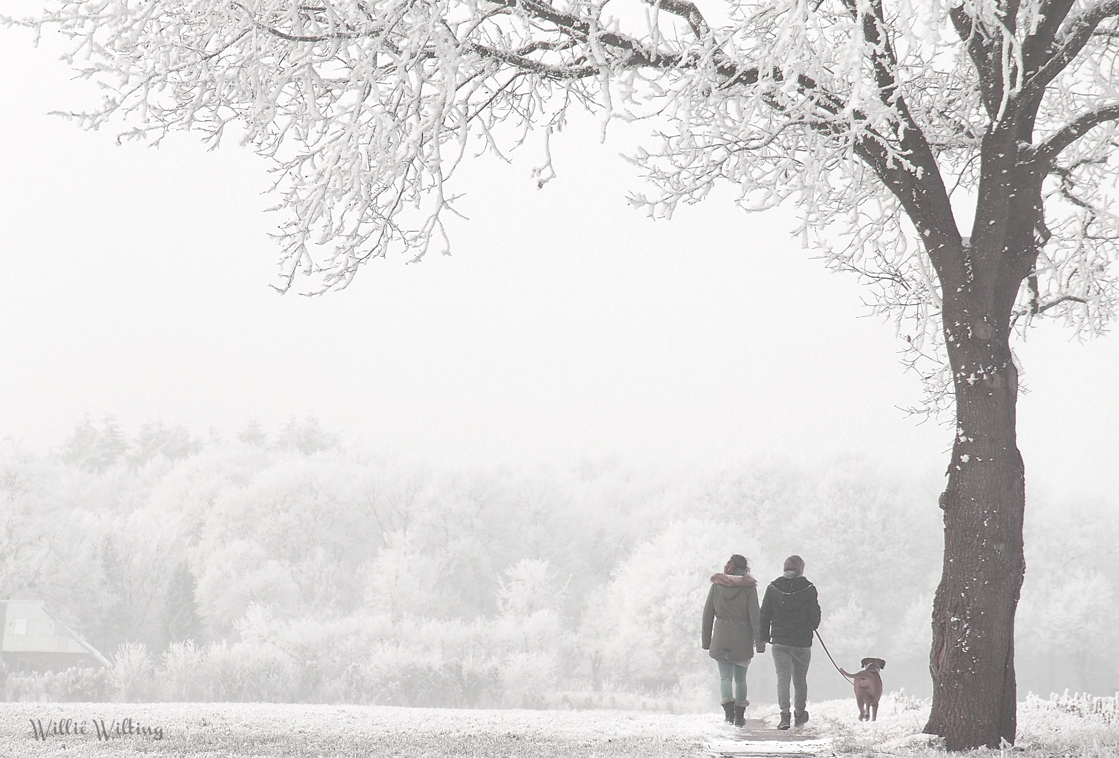 who-let-the-dog-out-2