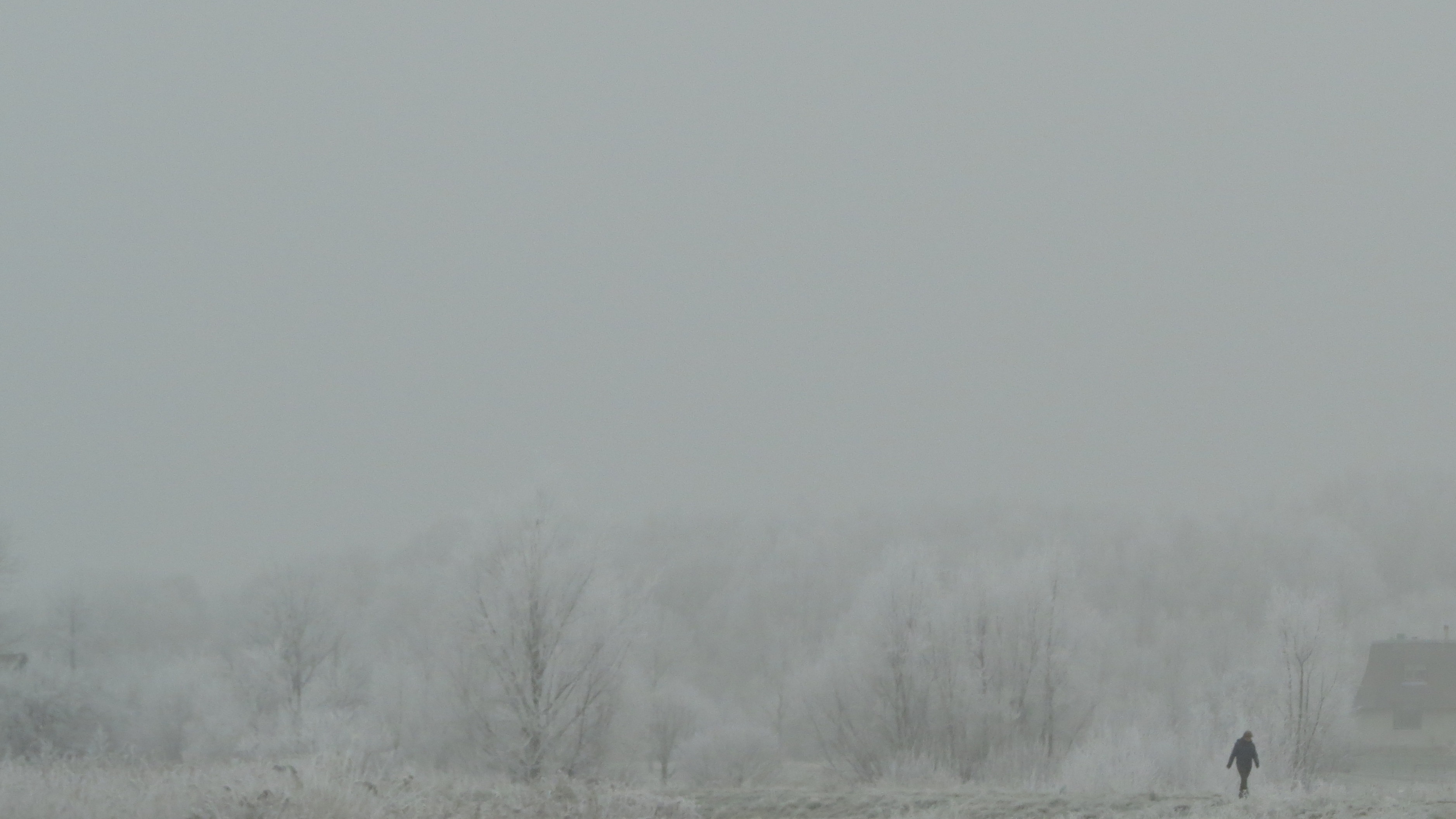 wandelaar-in-het-wit