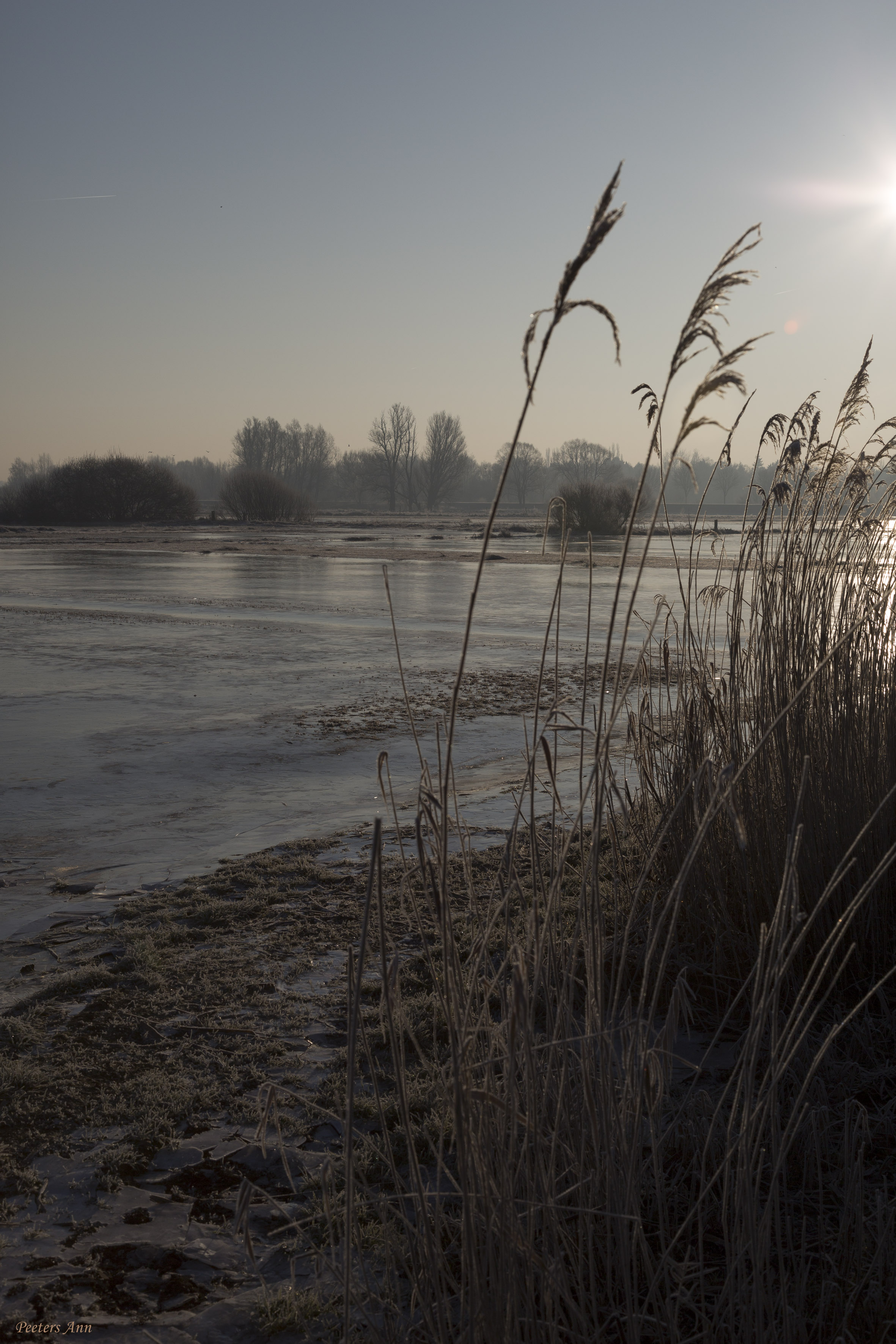 enjoying-winter-wonderland