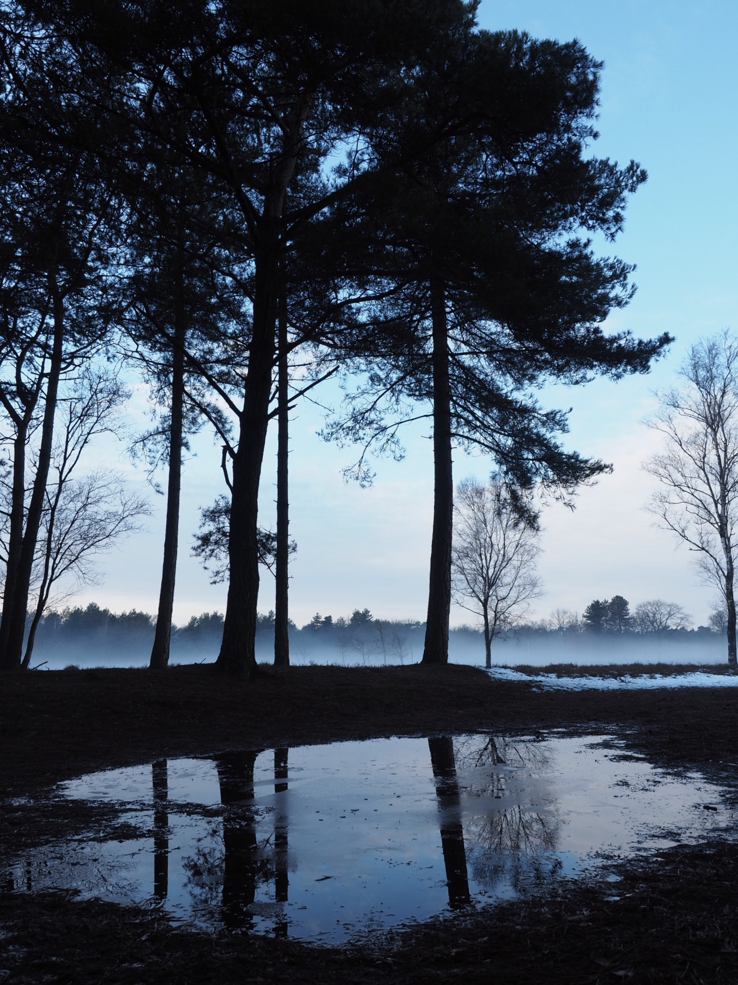 sprookjesachtig-herperduin-2