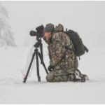 het-vinne-zoutlleeuw