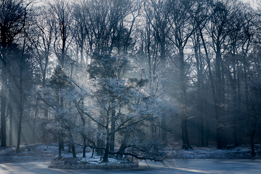 last-breath-of-winter