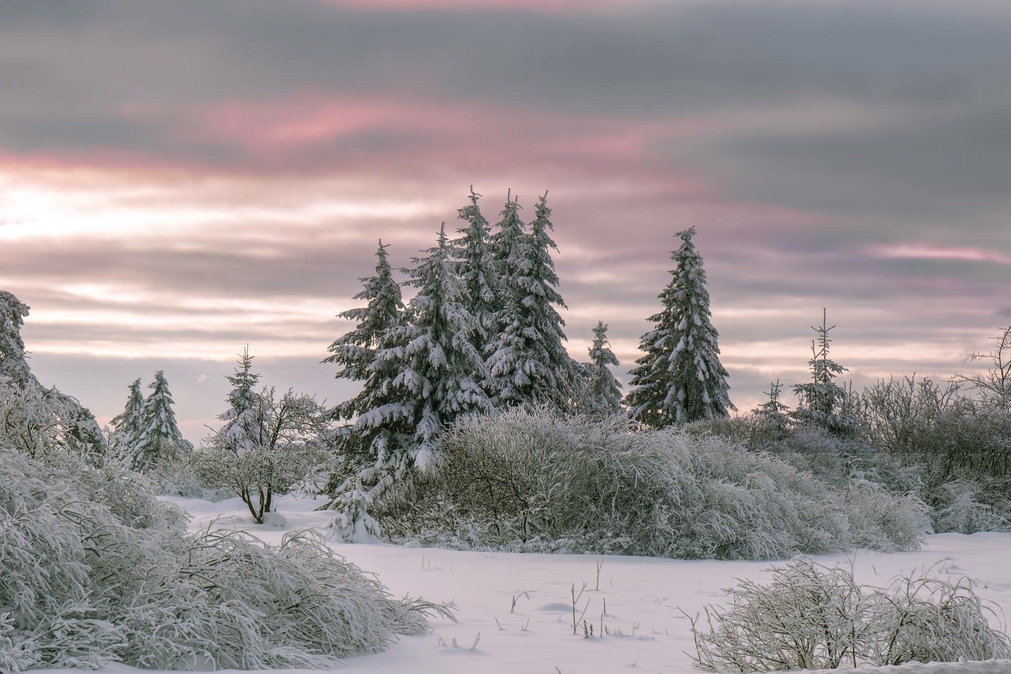 hoge-venen-in-de-avondgloed