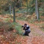 winterse-trap-op-de-posbank-rheden