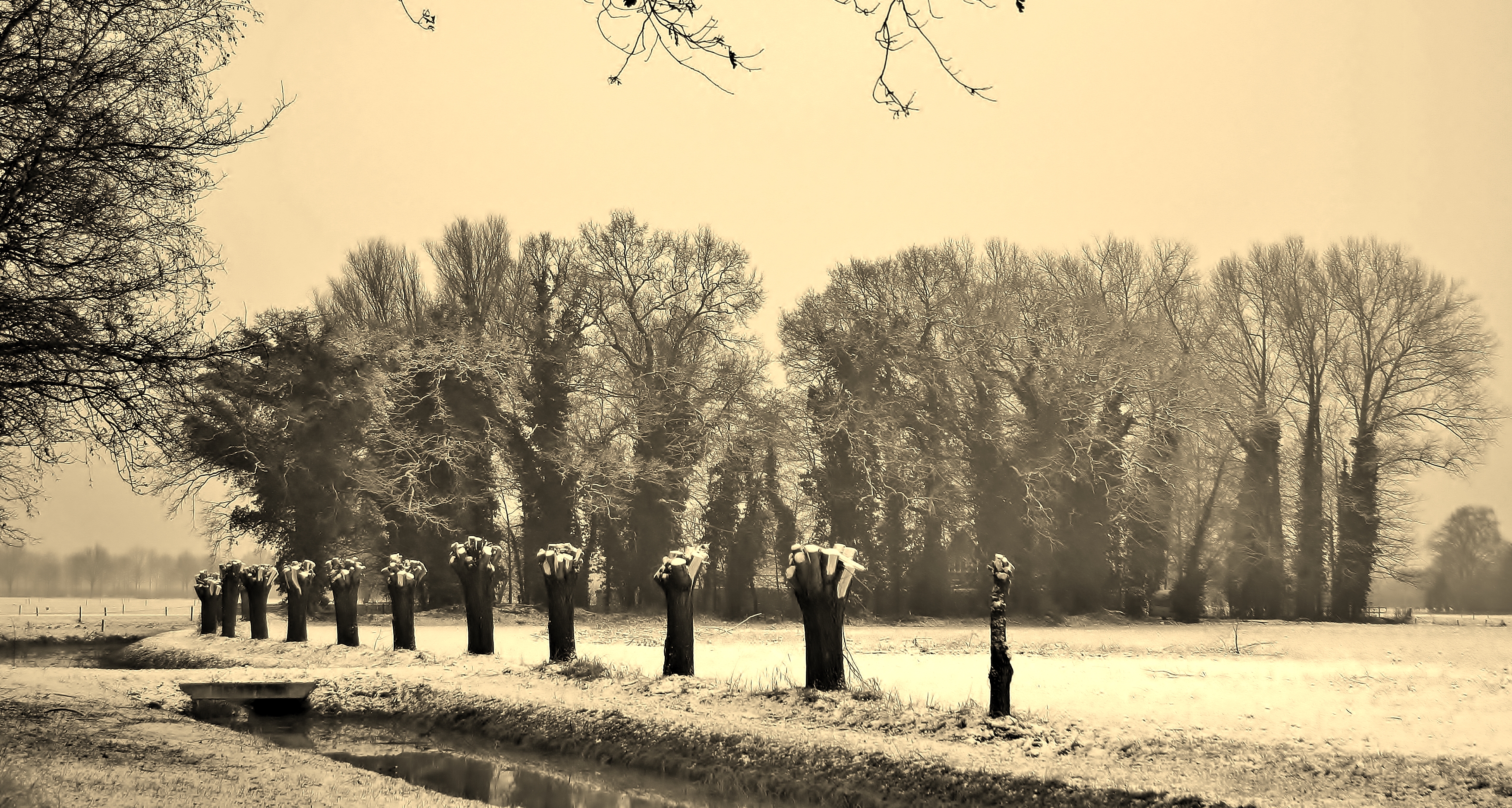 landschapsfotografie-31