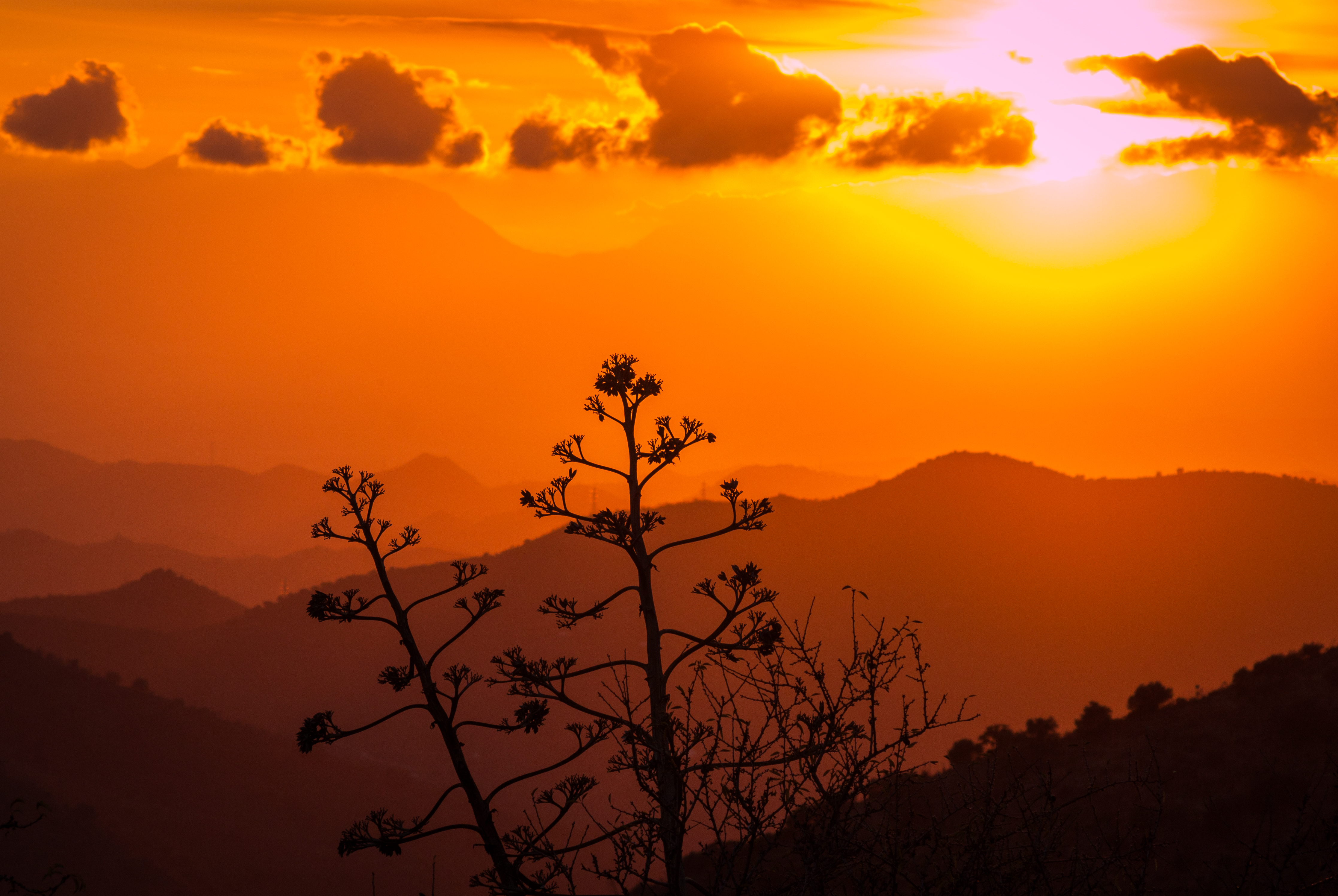 landschapsfotografie-36