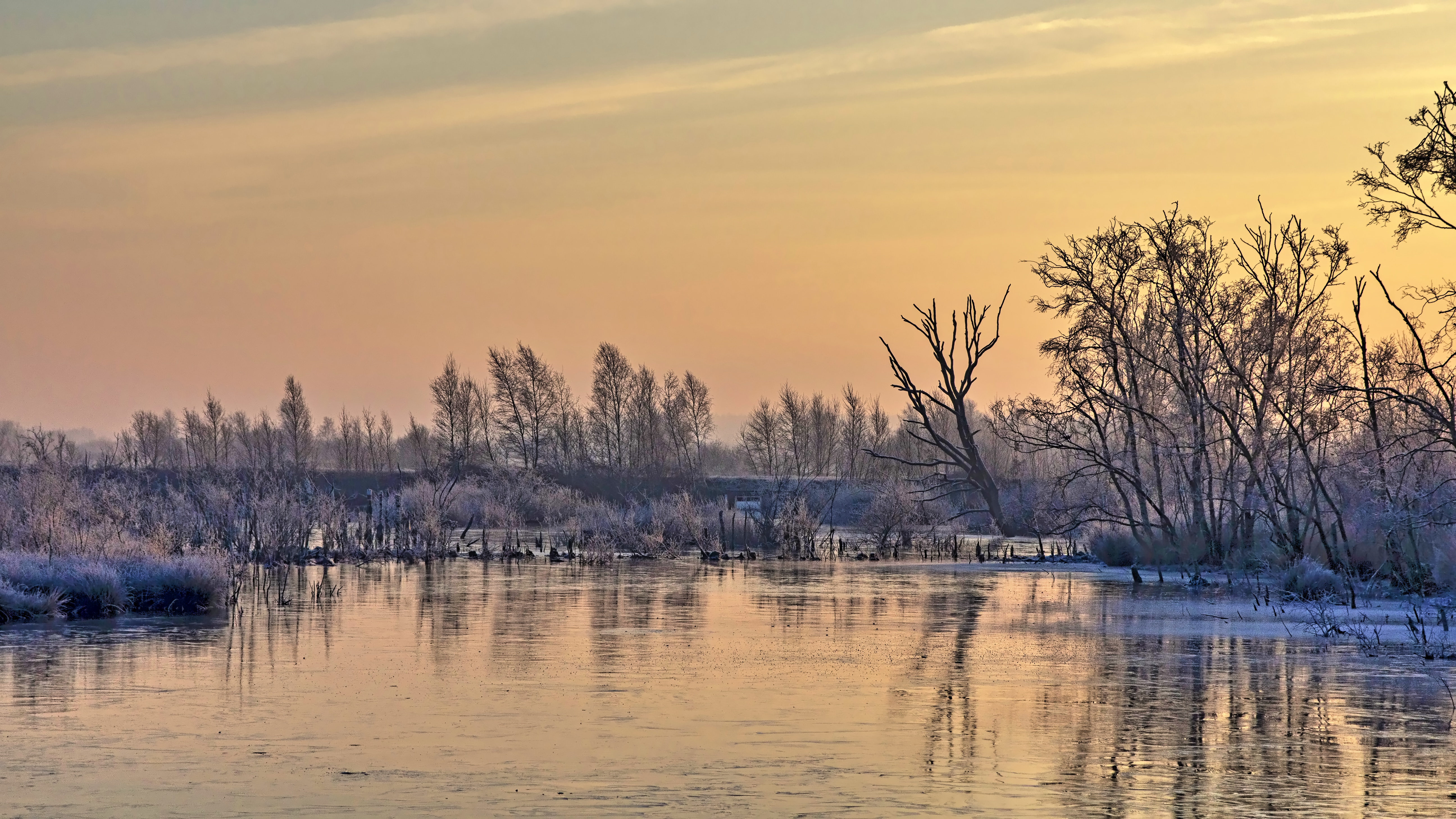 winter-in-bargerveen