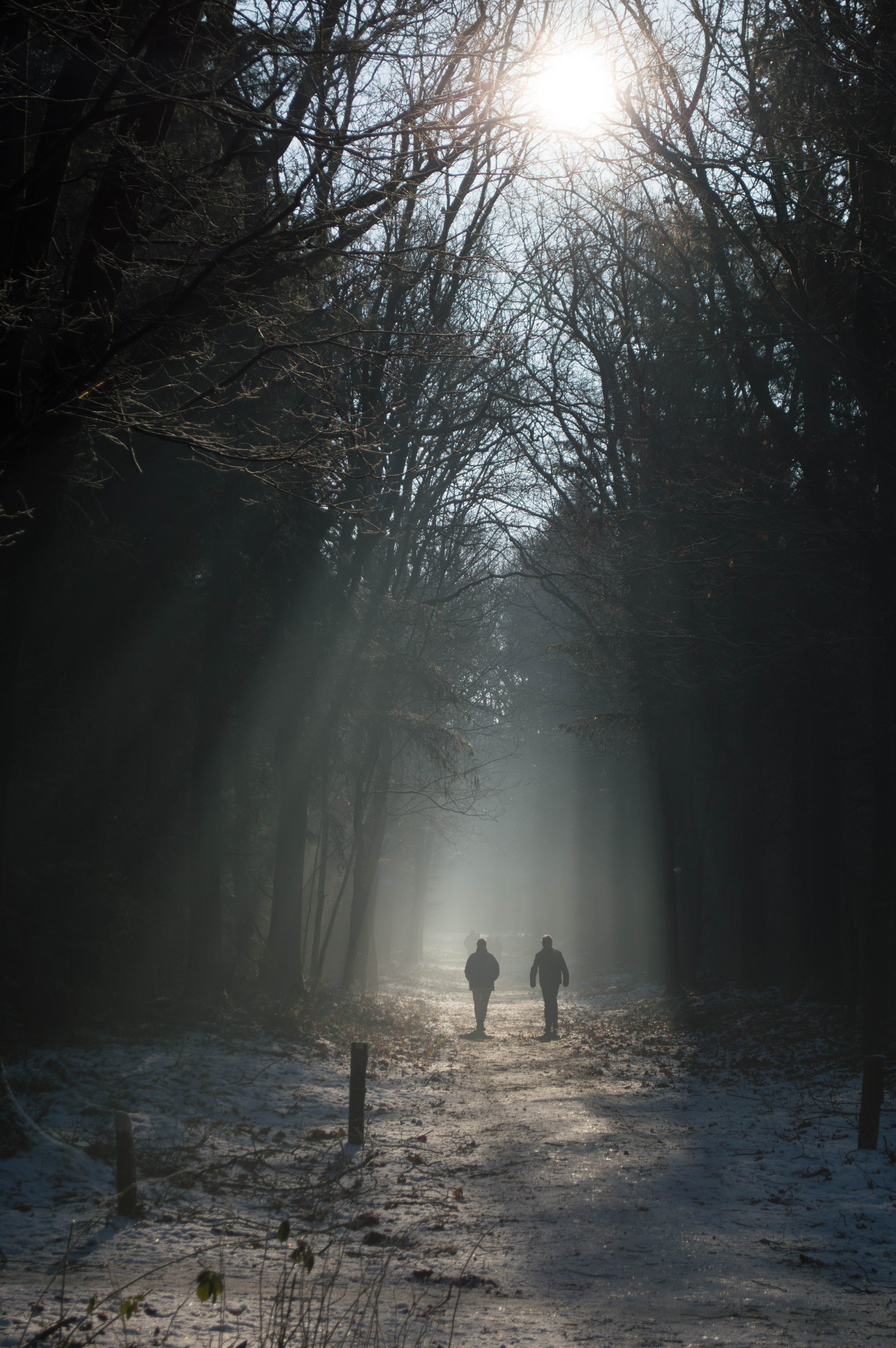 een-prachtige-winterdag