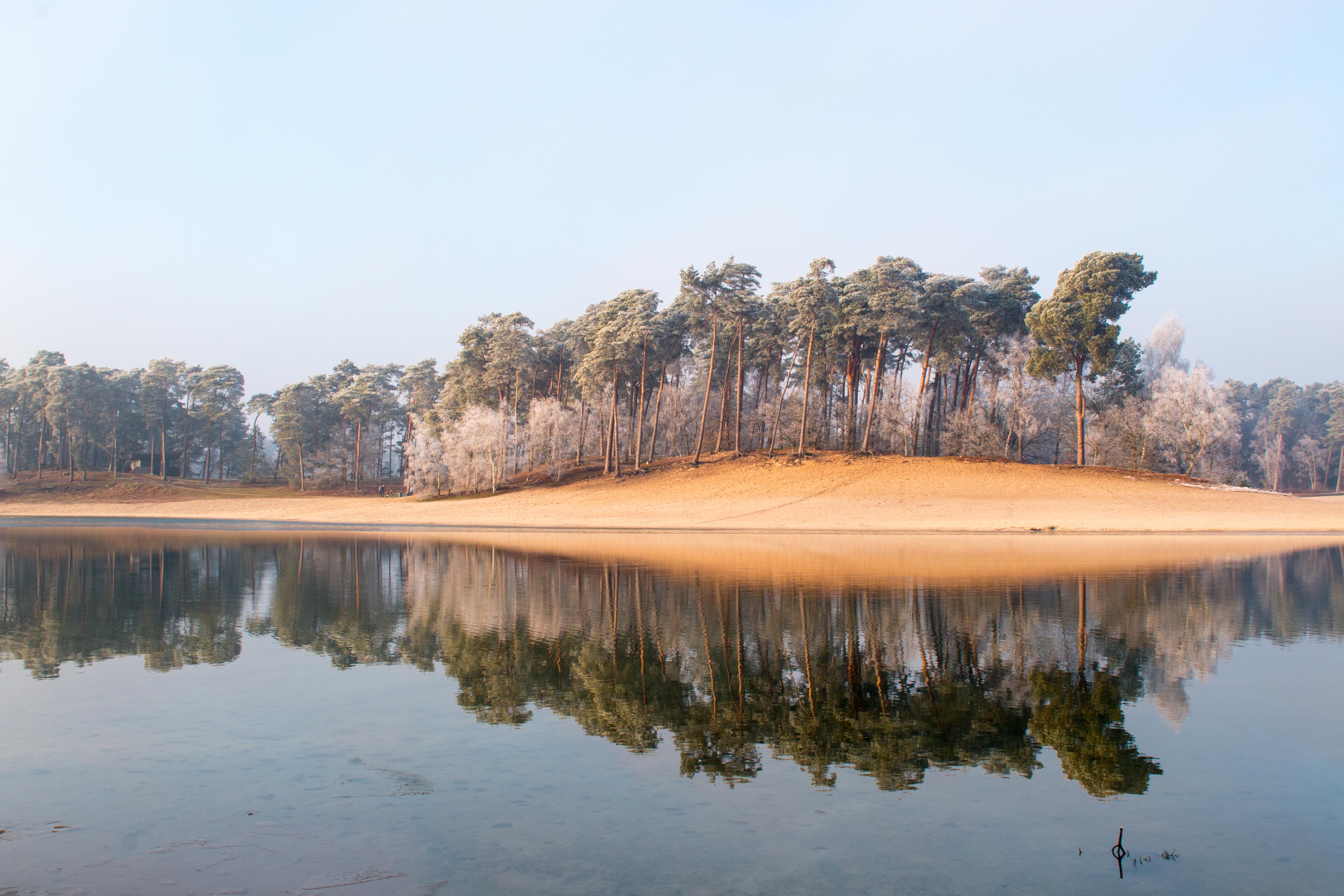 henschotermeer-in-de-winter
